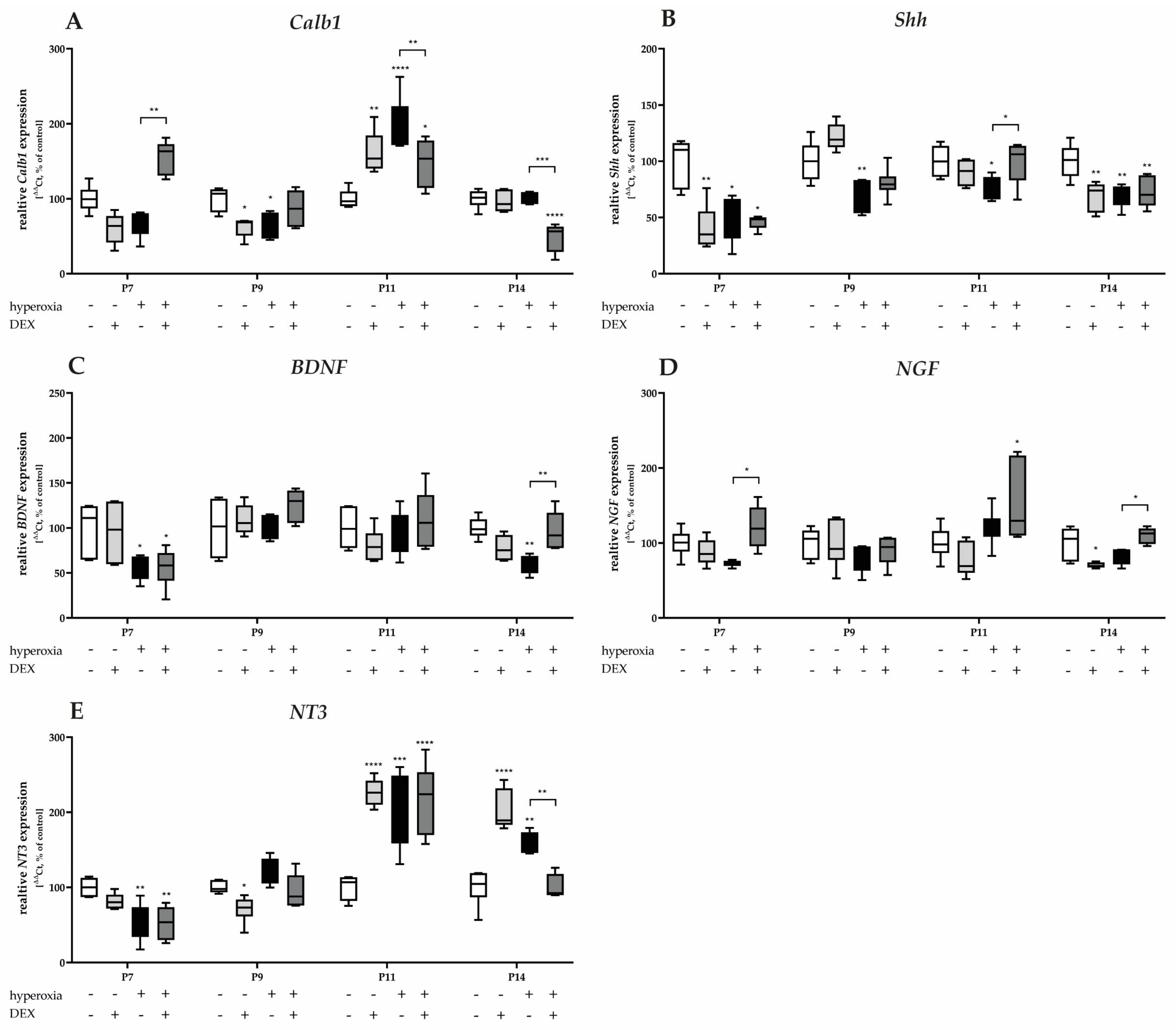 Antioxidants 12 00980 g006