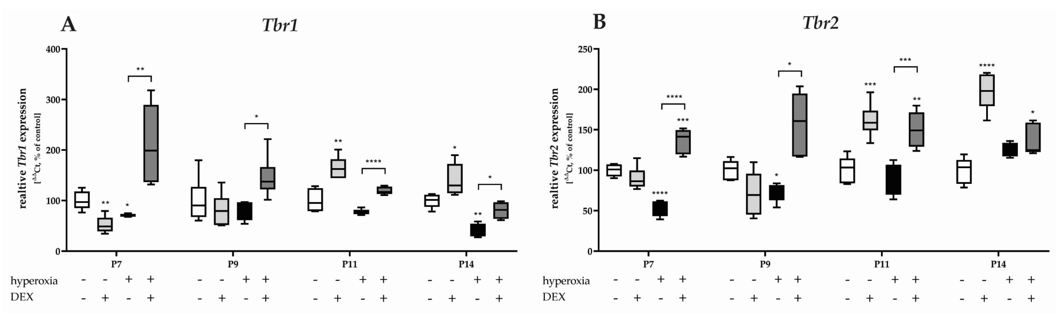 Antioxidants 12 00980 g010