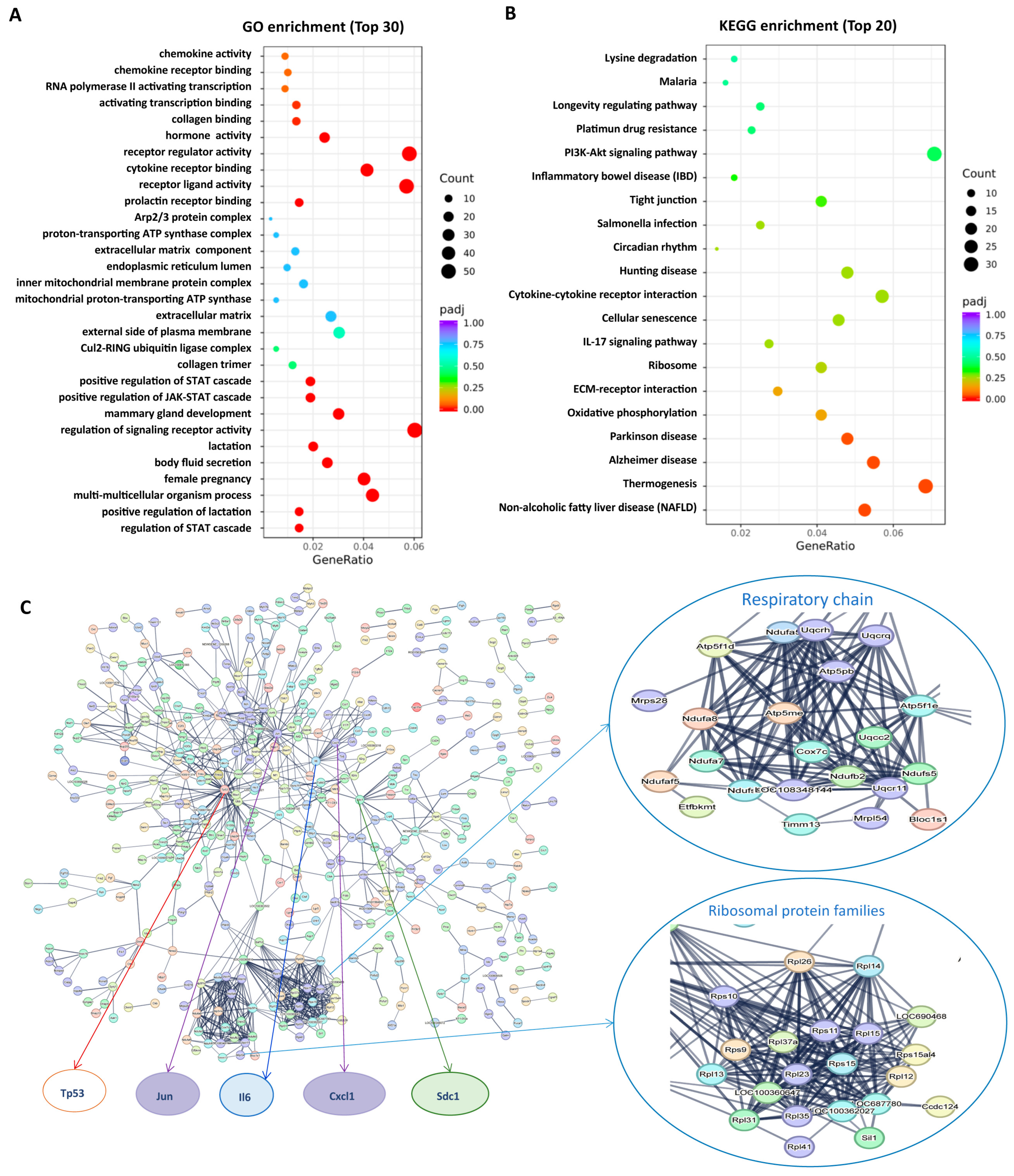 Antioxidants 12 00987 g002
