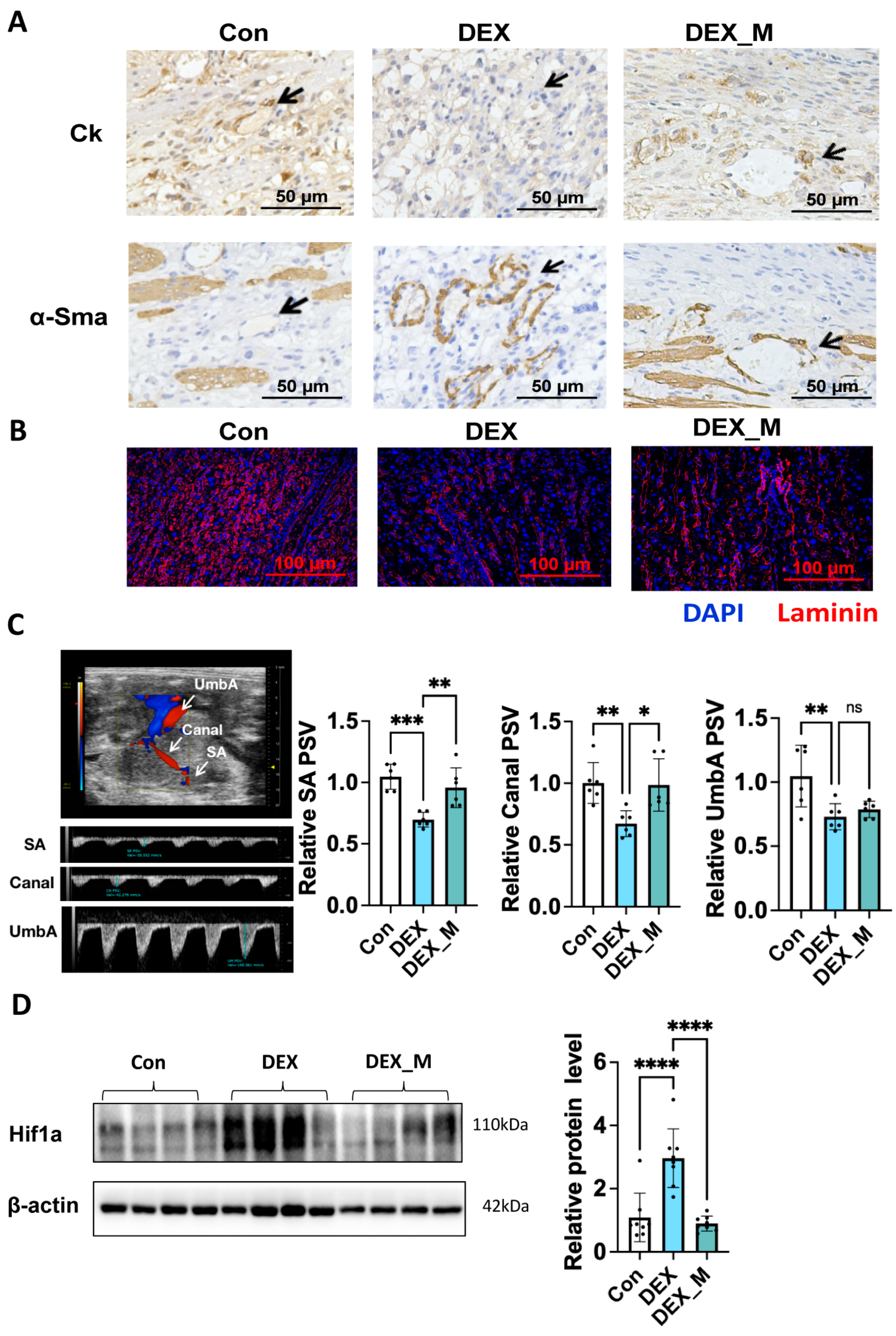 Antioxidants 12 00987 g004