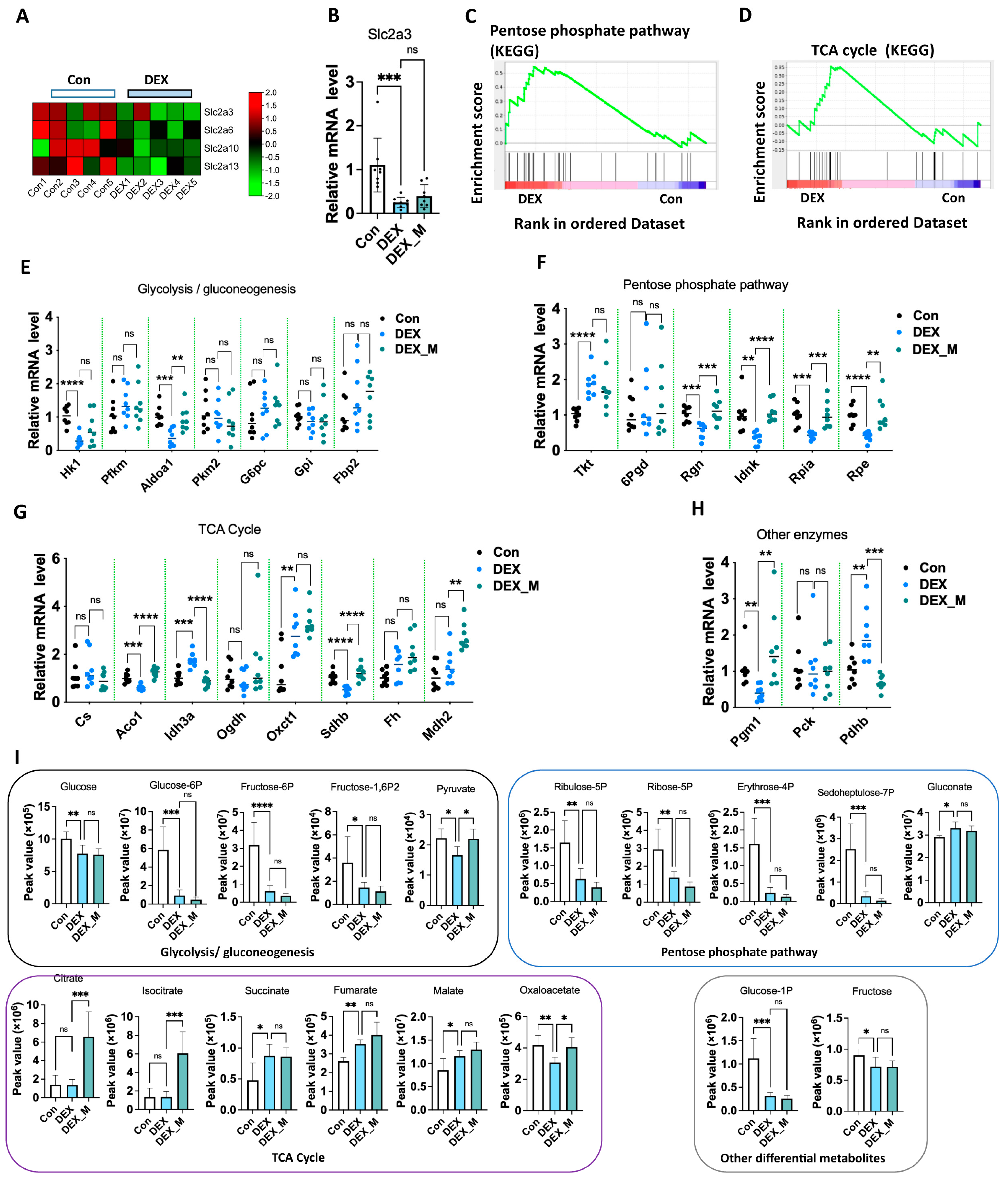 Antioxidants 12 00987 g006