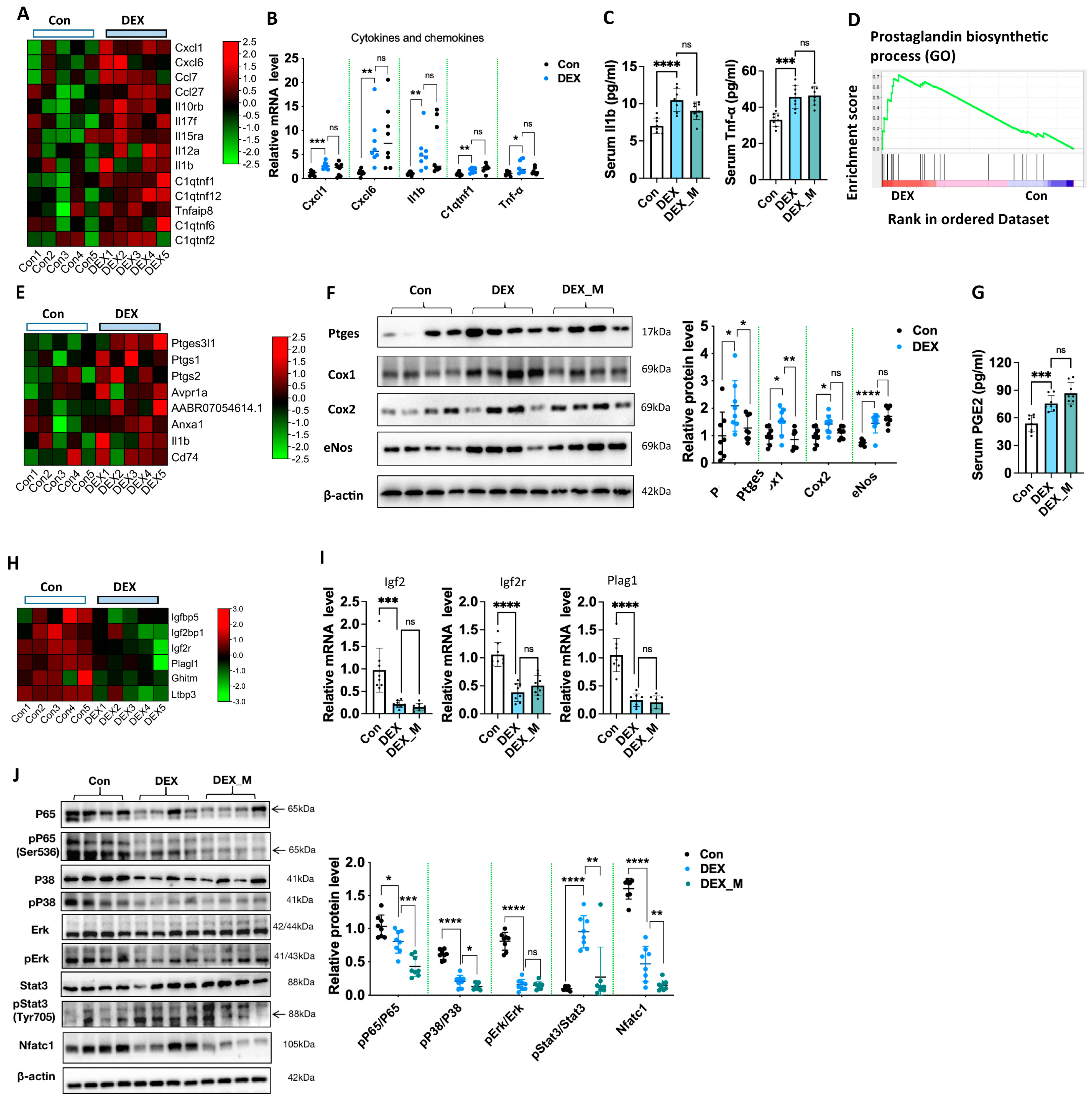 Antioxidants 12 00987 g007
