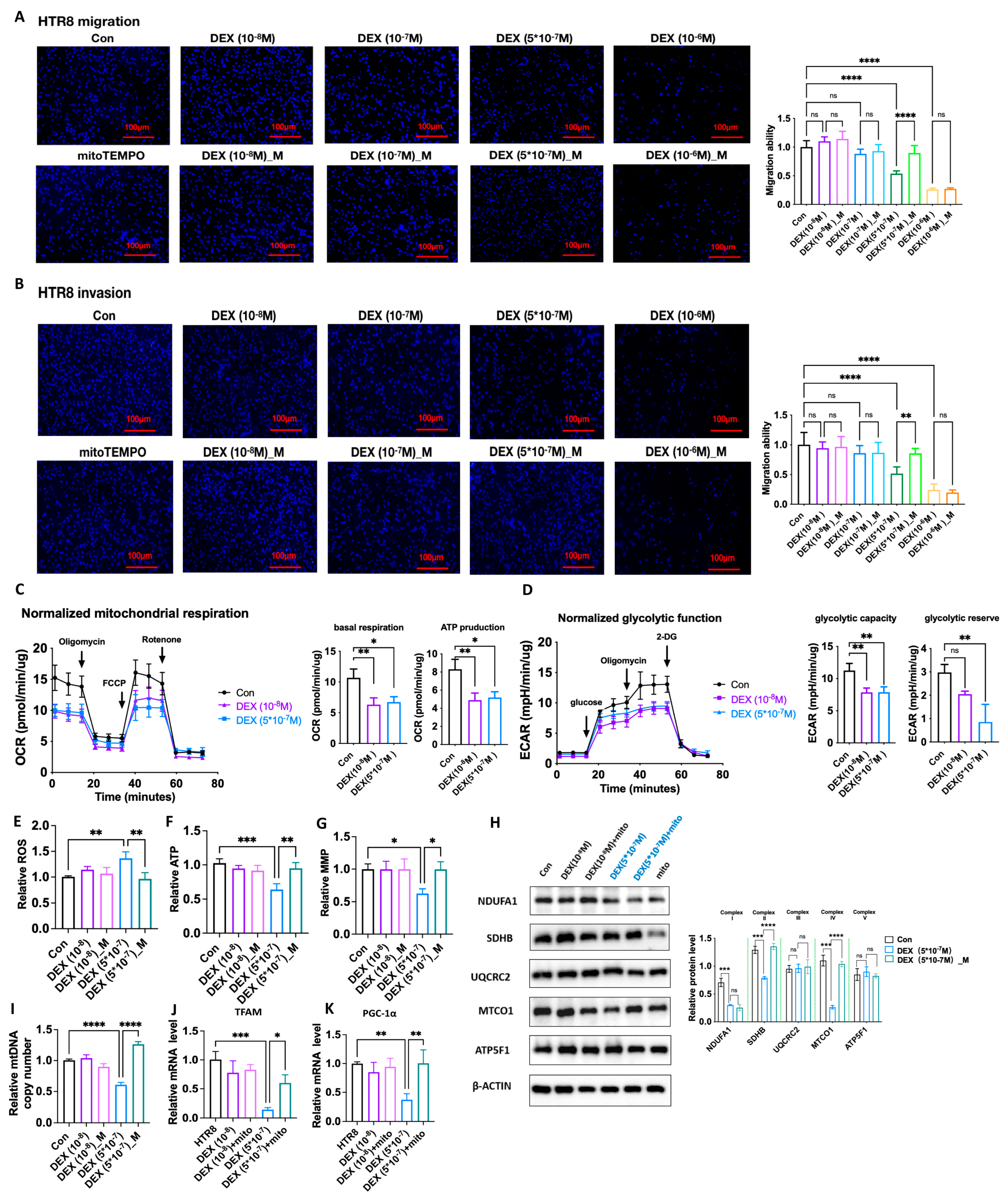 Antioxidants 12 00987 g008