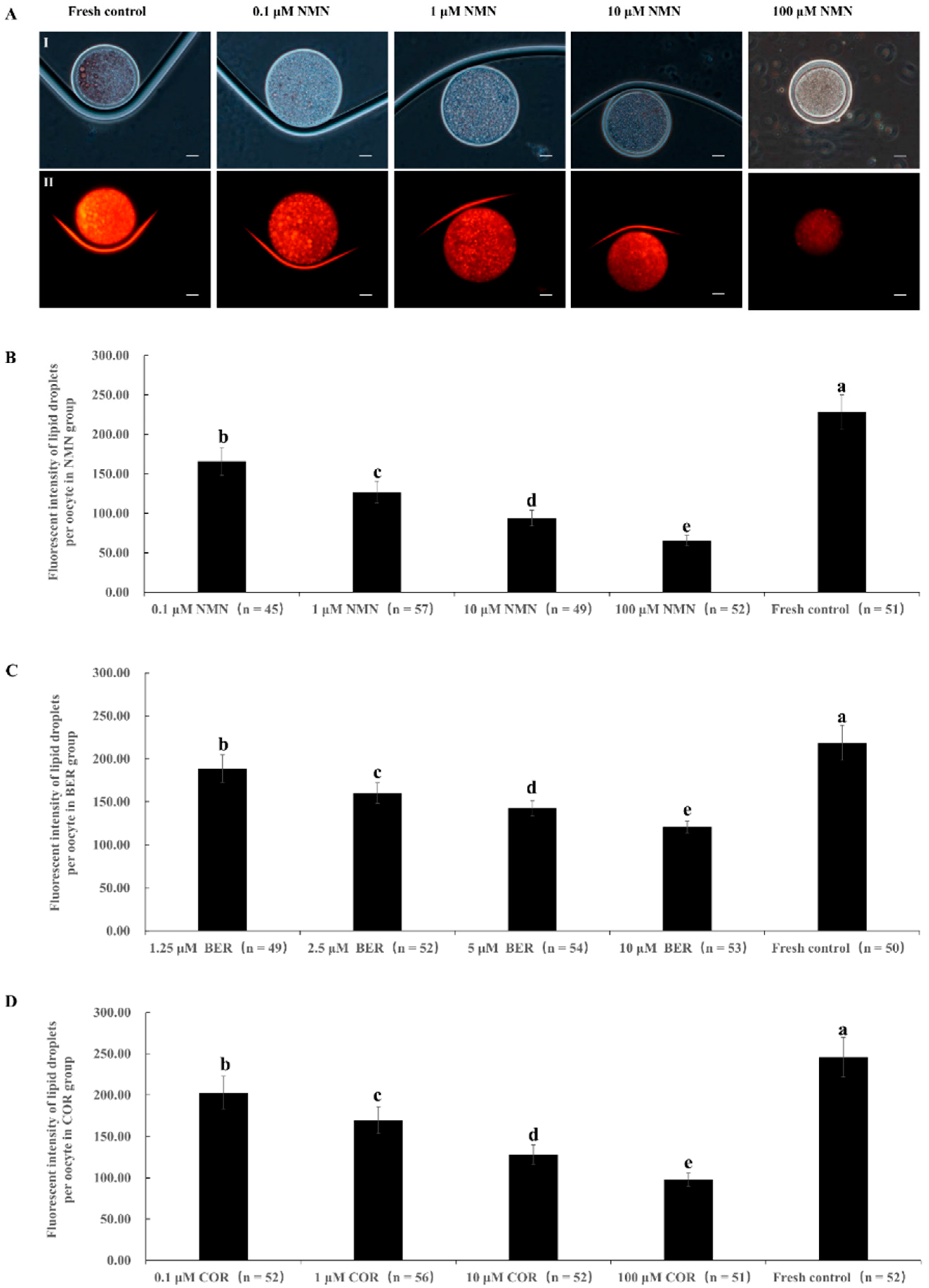 Antioxidants 12 00991 g001 Antioxidants 12 00991 g001