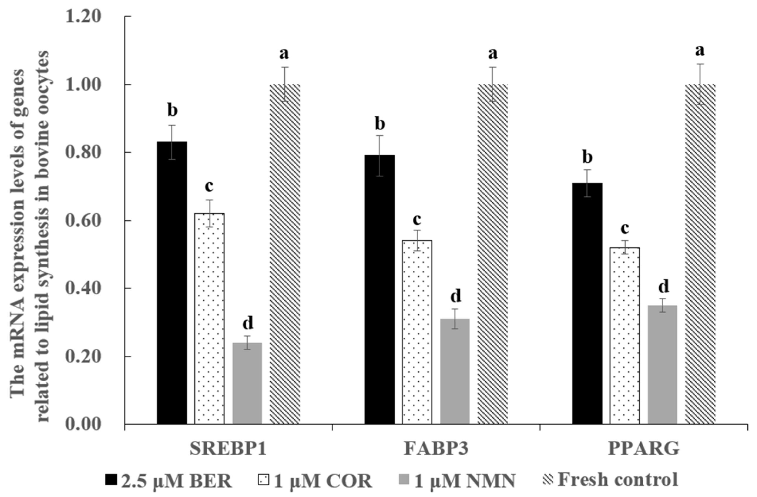 Antioxidants 12 00991 g002 Antioxidants 12 00991 g002