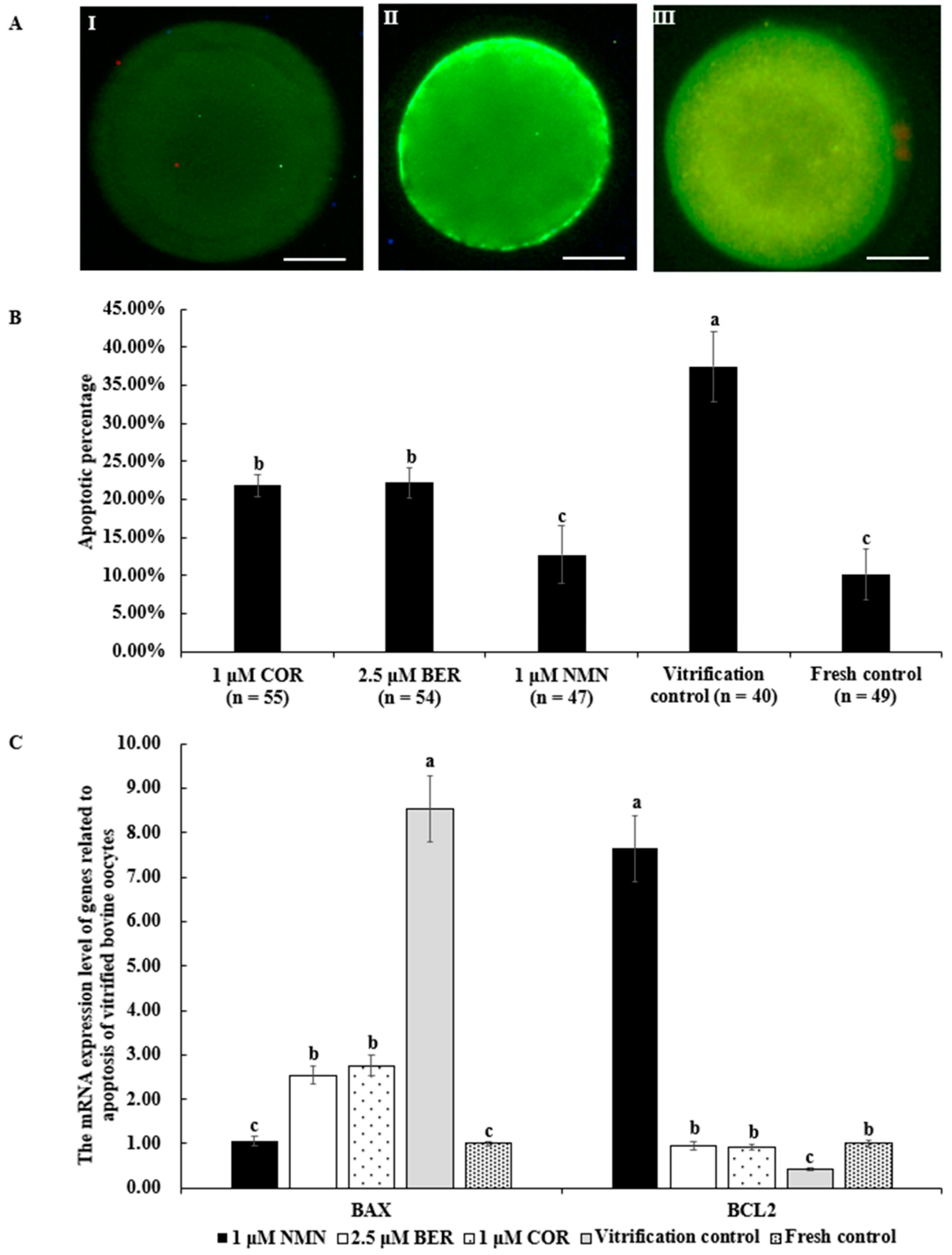 Antioxidants 12 00991 g006 Antioxidants 12 00991 g006