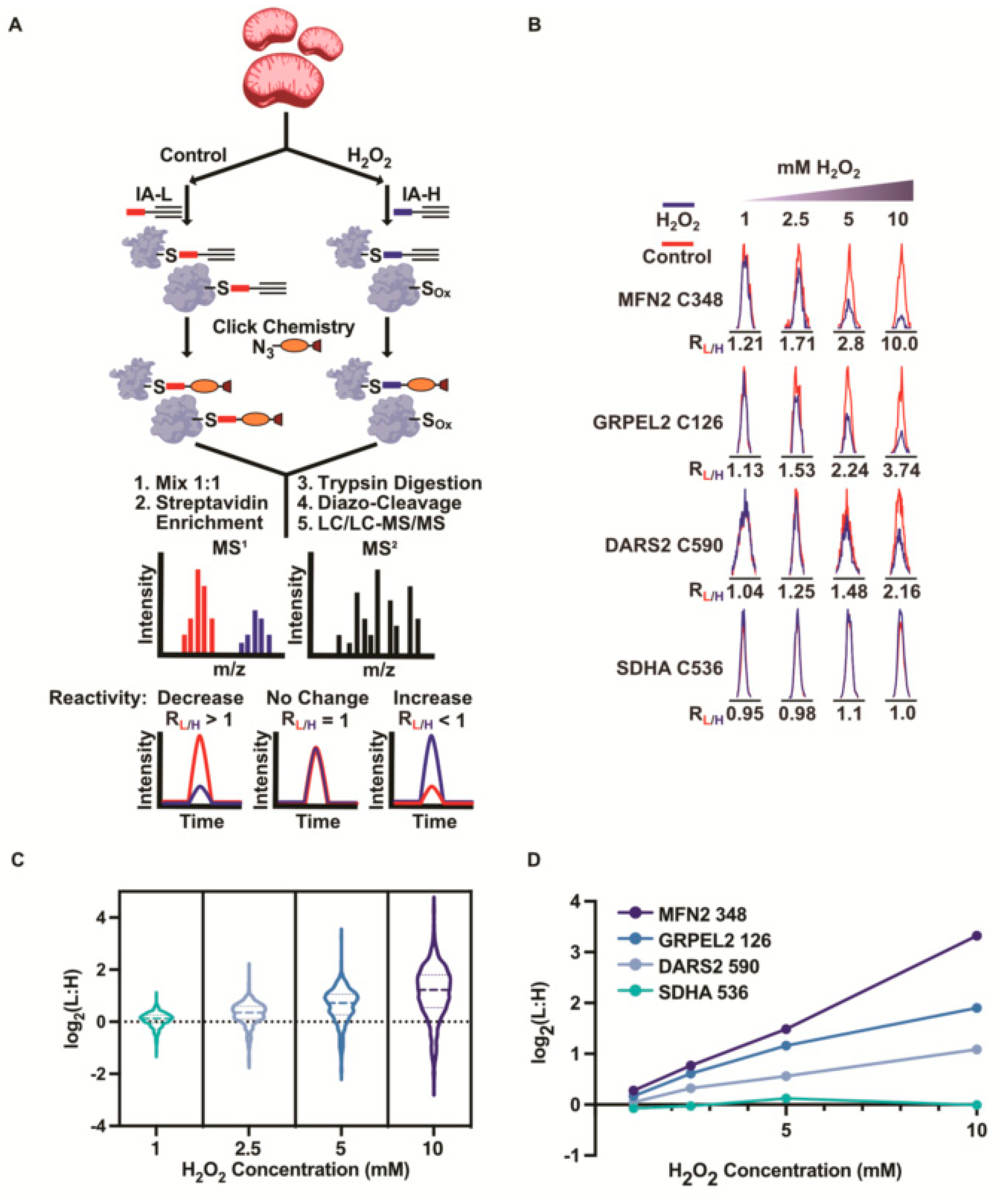 Antioxidants 12 00992 g001