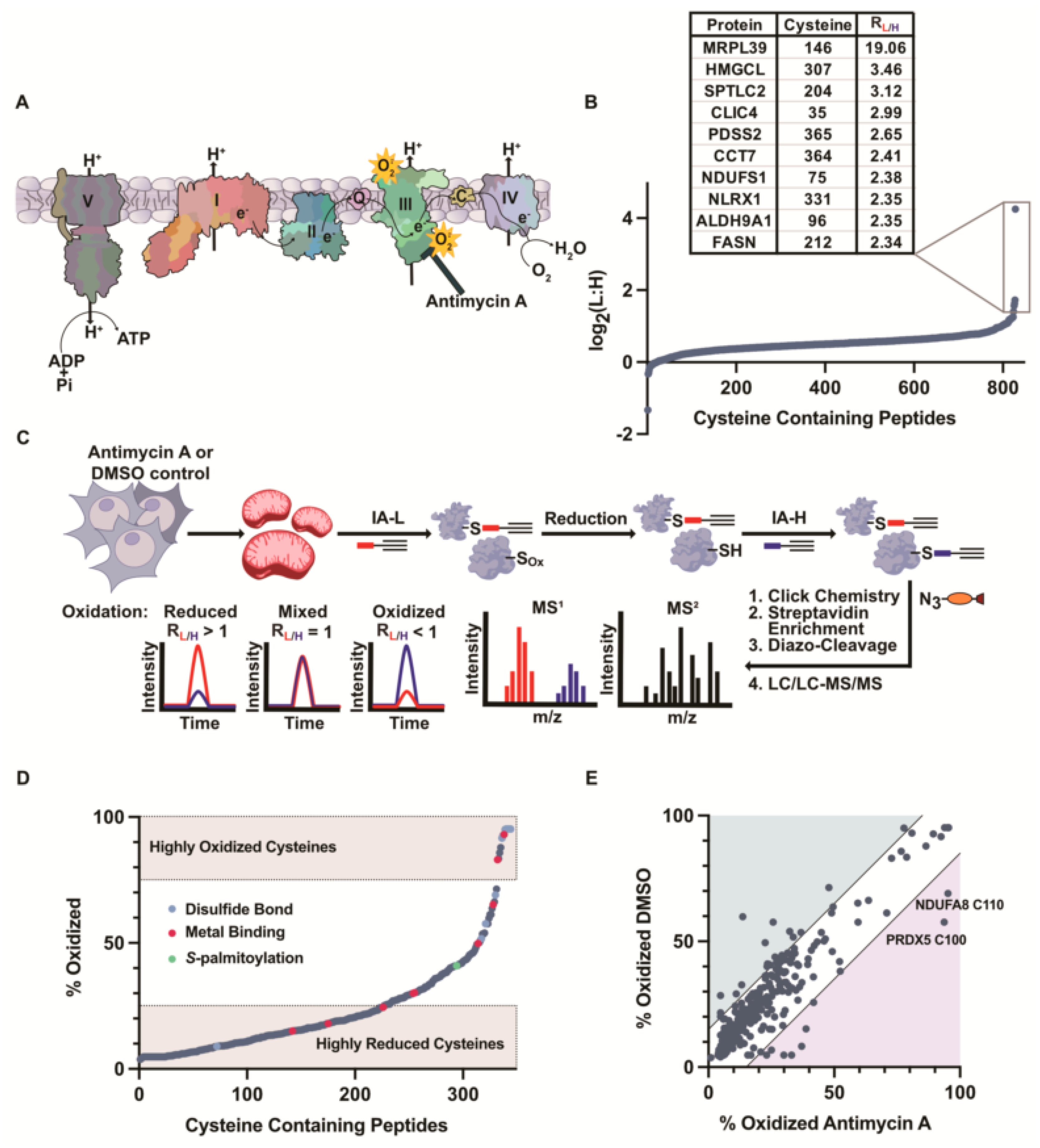 Antioxidants 12 00992 g003