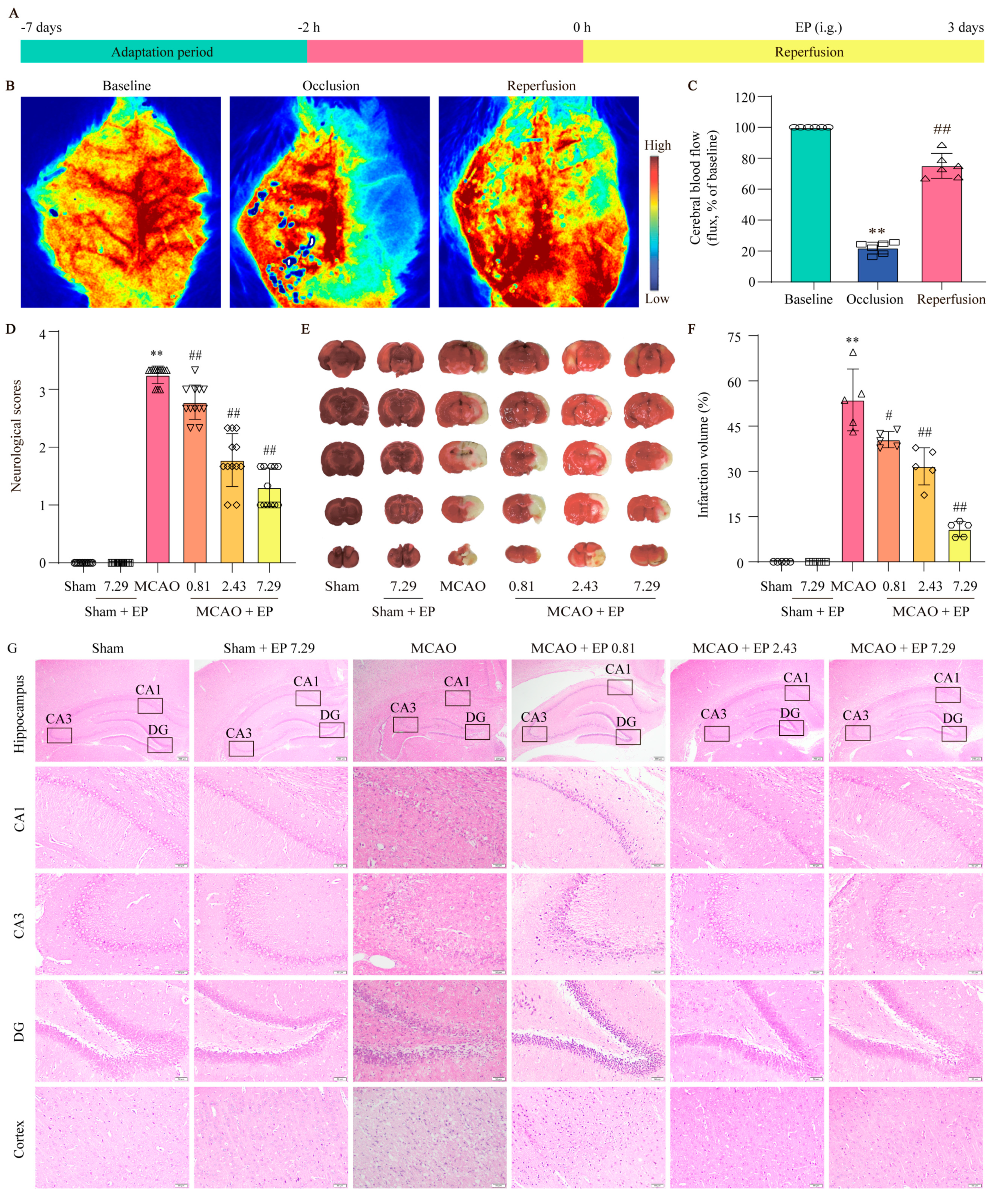 Antioxidants 12 00999 g003