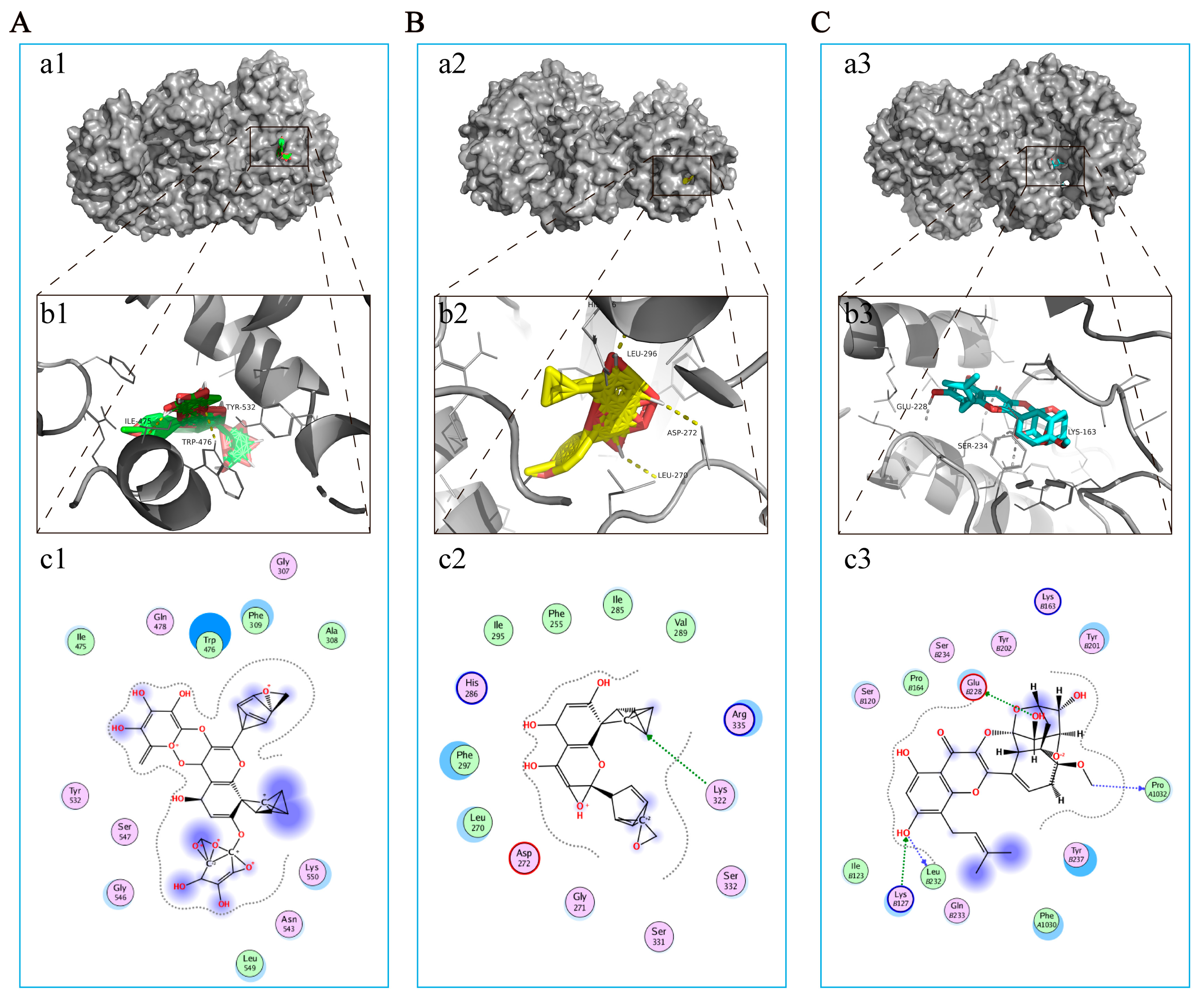 Antioxidants 12 00999 g005
