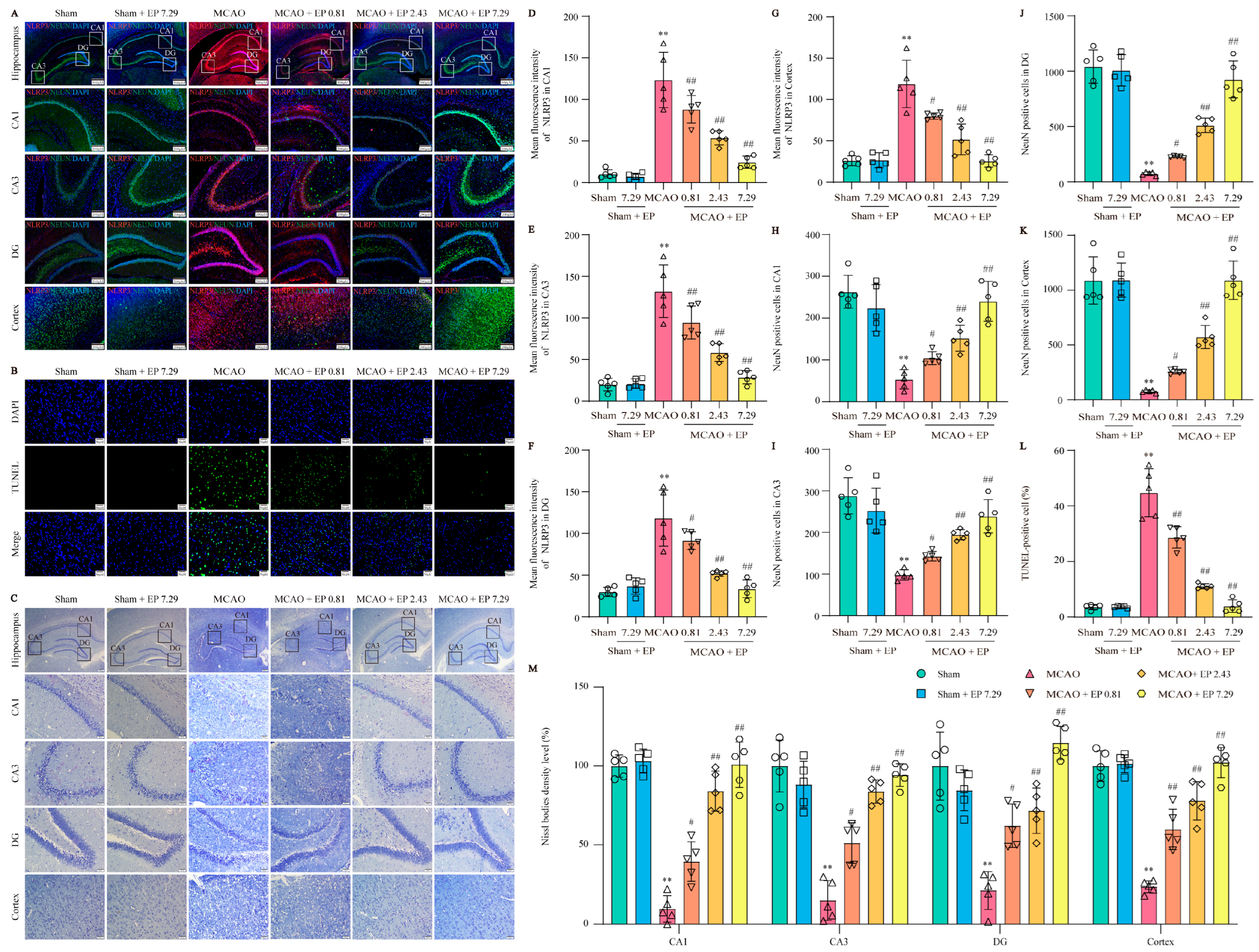 Antioxidants 12 00999 g006