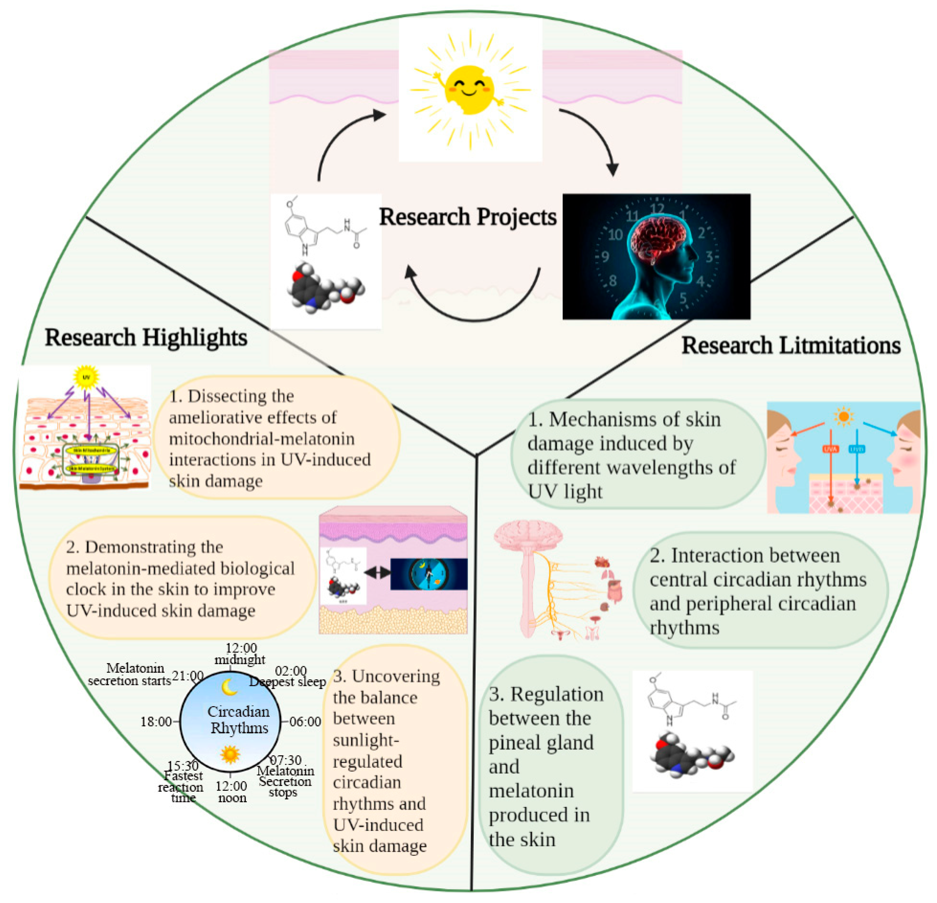 Antioxidants 12 01000 g004