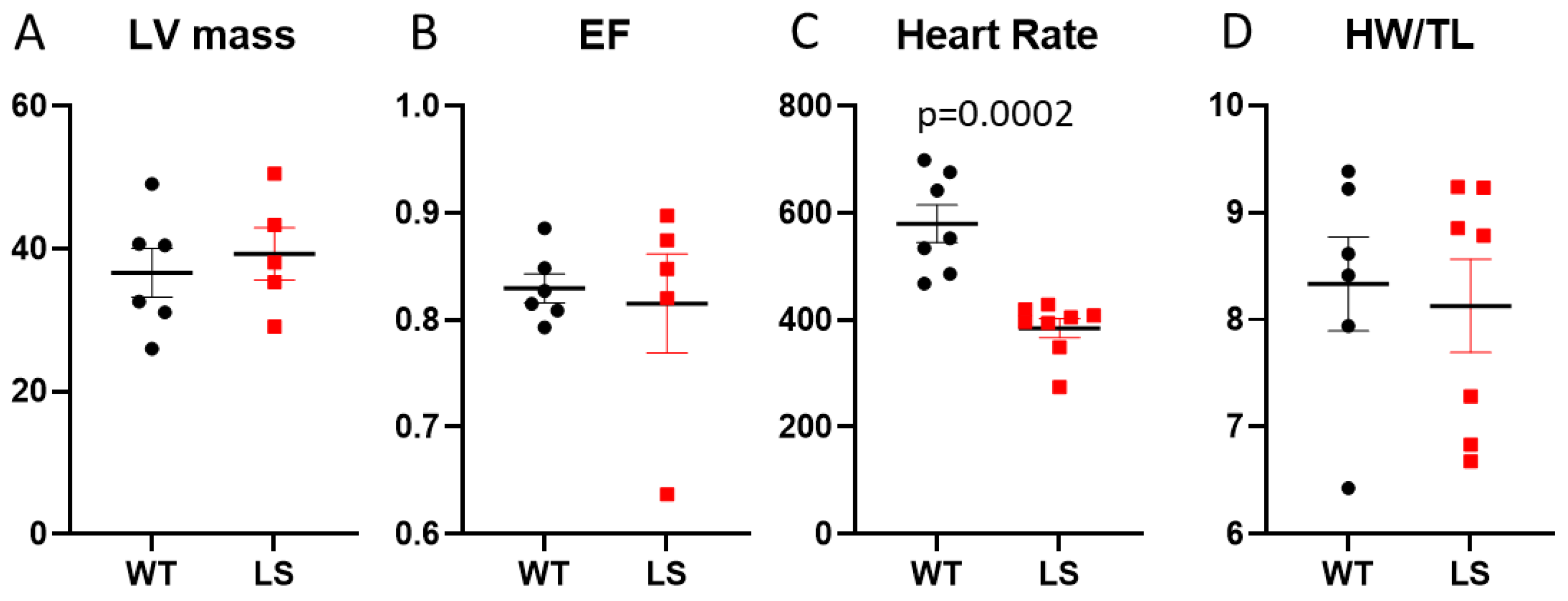 Antioxidants 12 01001 g001 Antioxidants 12 01001 g001