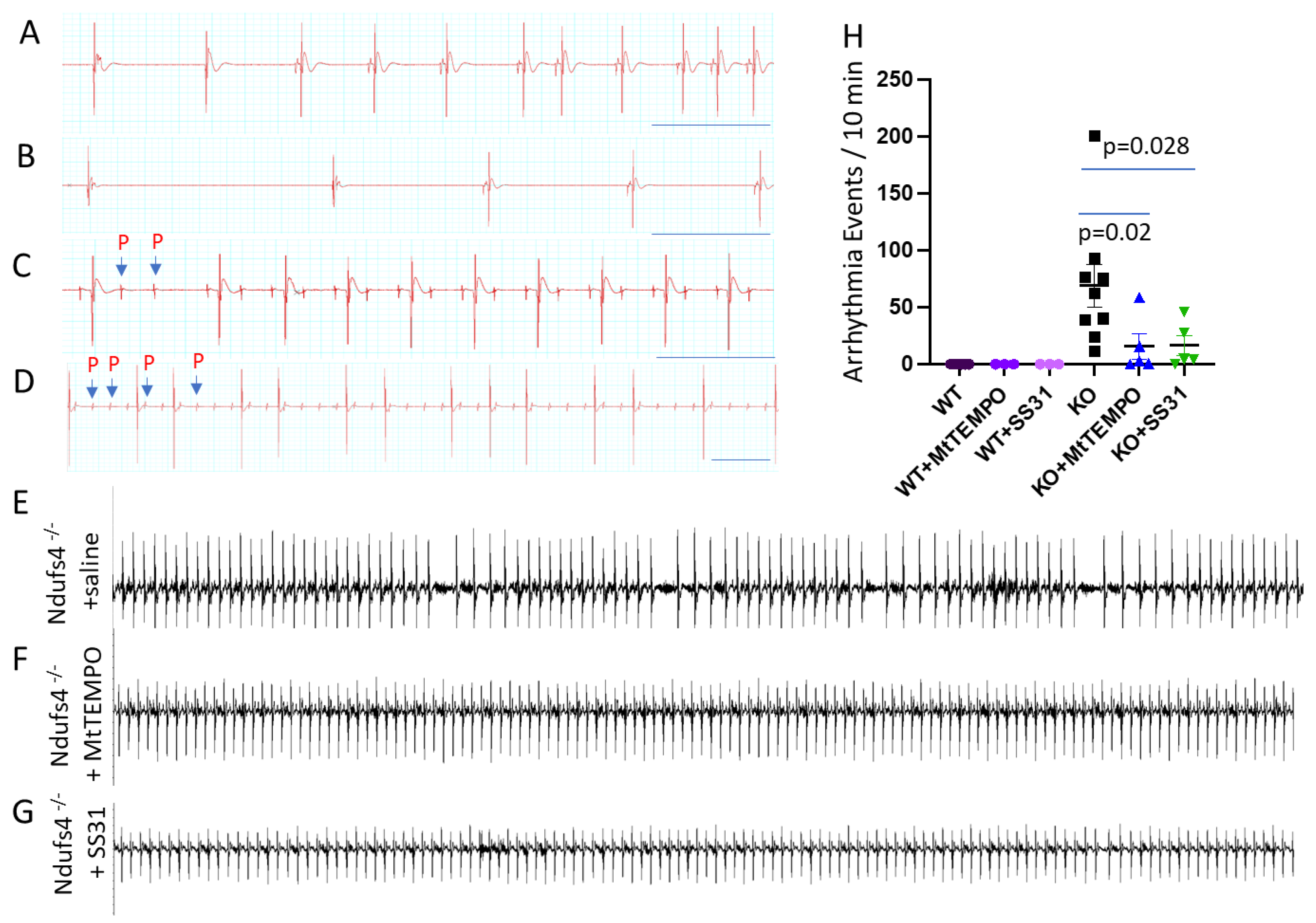Antioxidants 12 01001 g002 Antioxidants 12 01001 g002