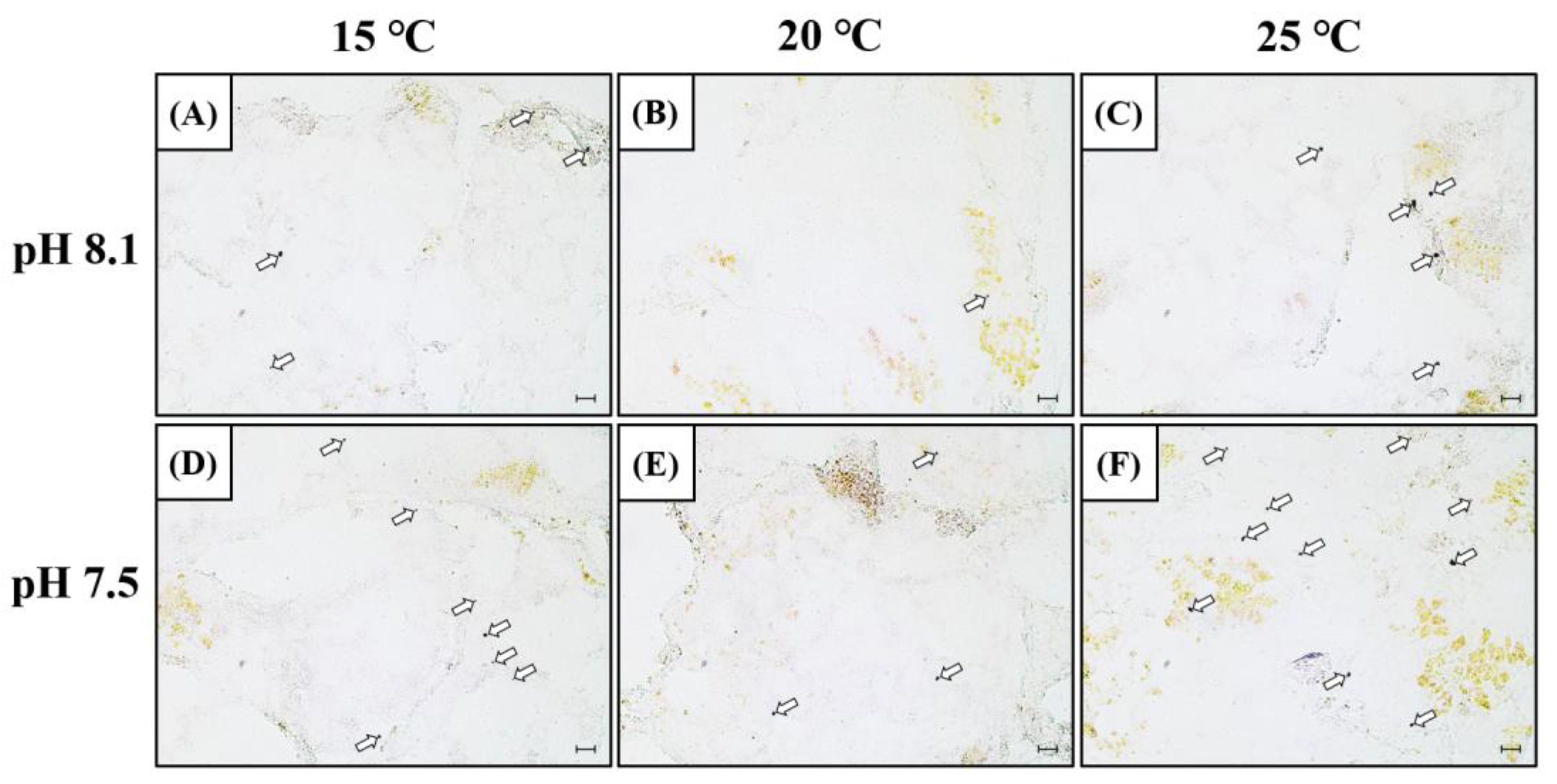 Antioxidants 12 01003 g003