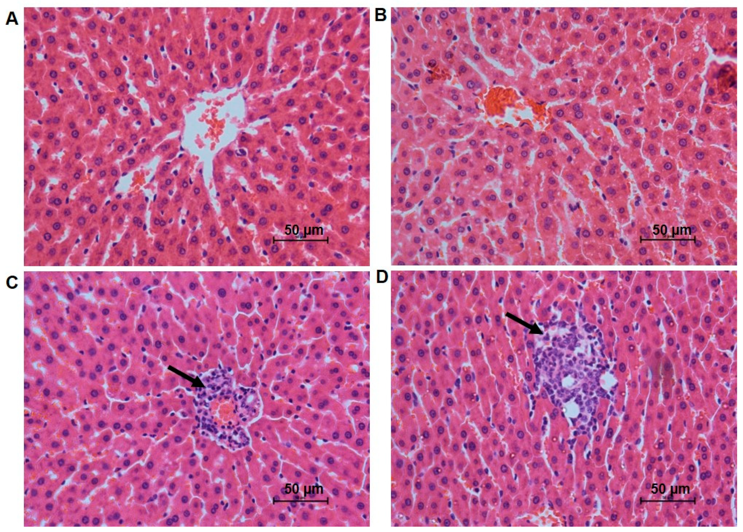 Antioxidants 12 01005 g001