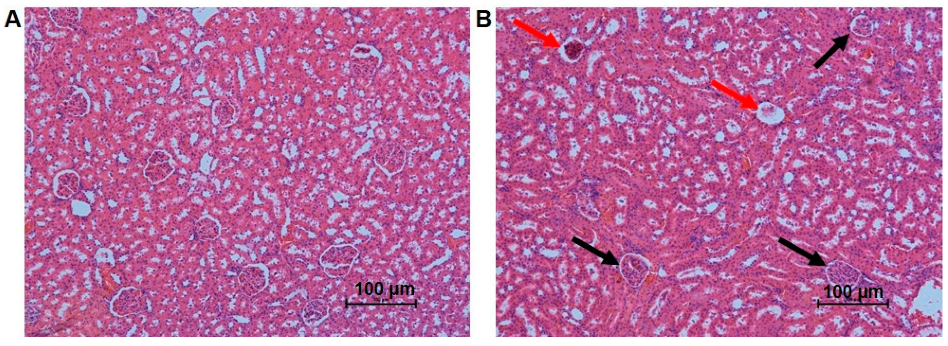Antioxidants 12 01005 g002