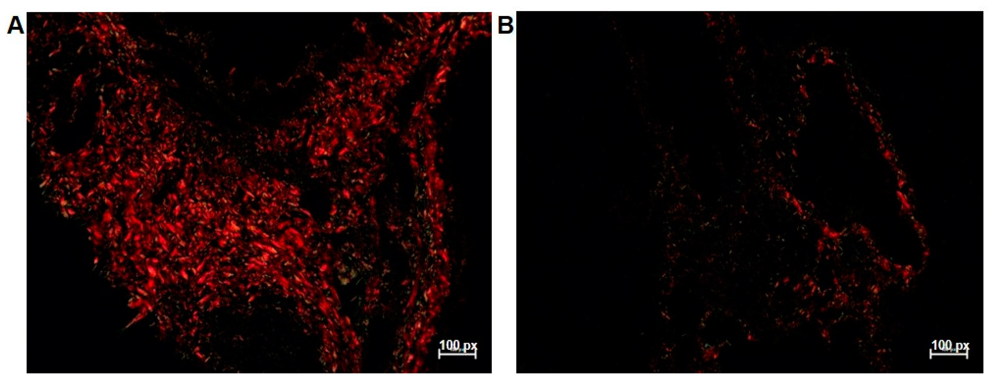 Antioxidants 12 01005 g003