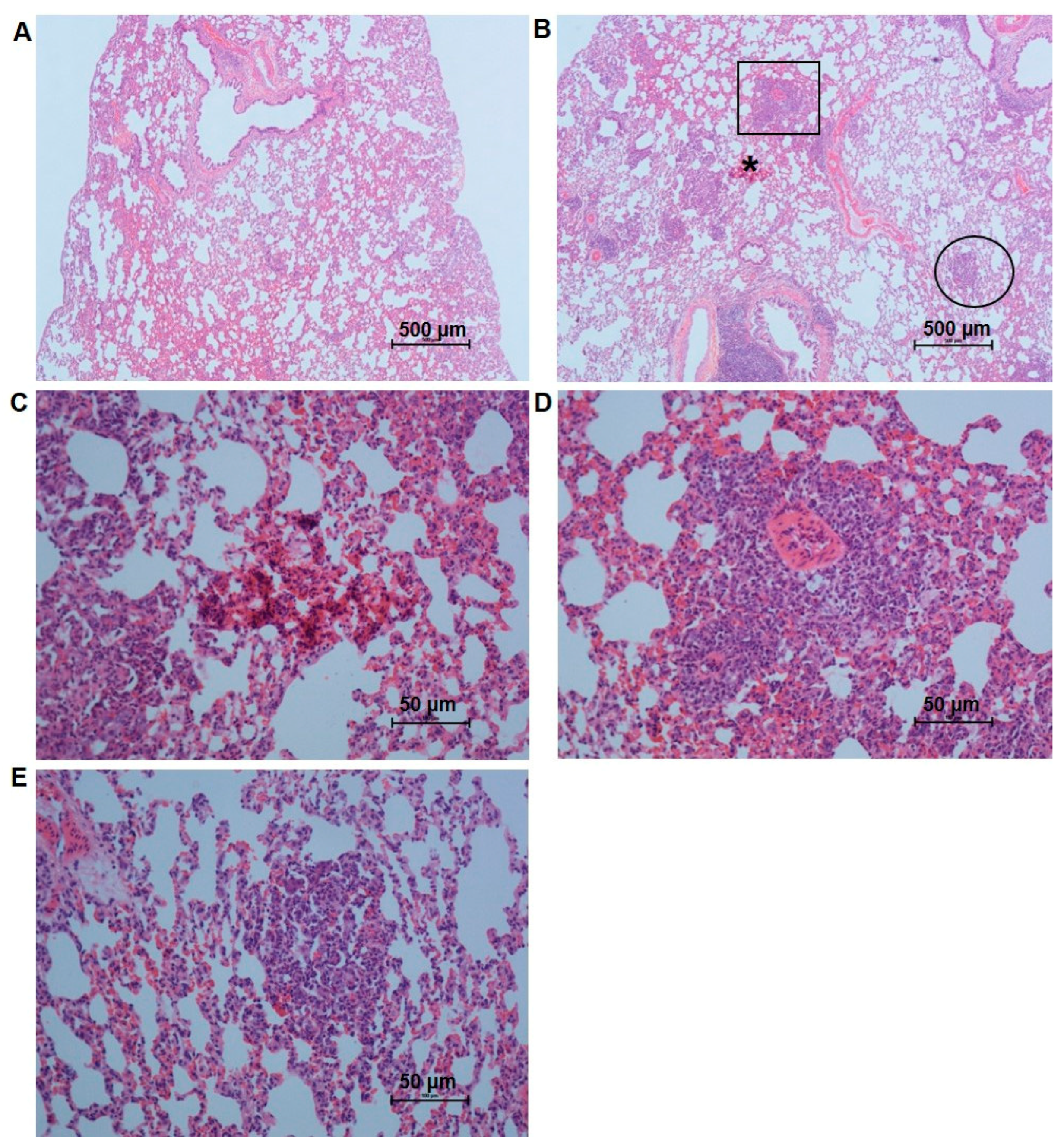 Antioxidants 12 01005 g004