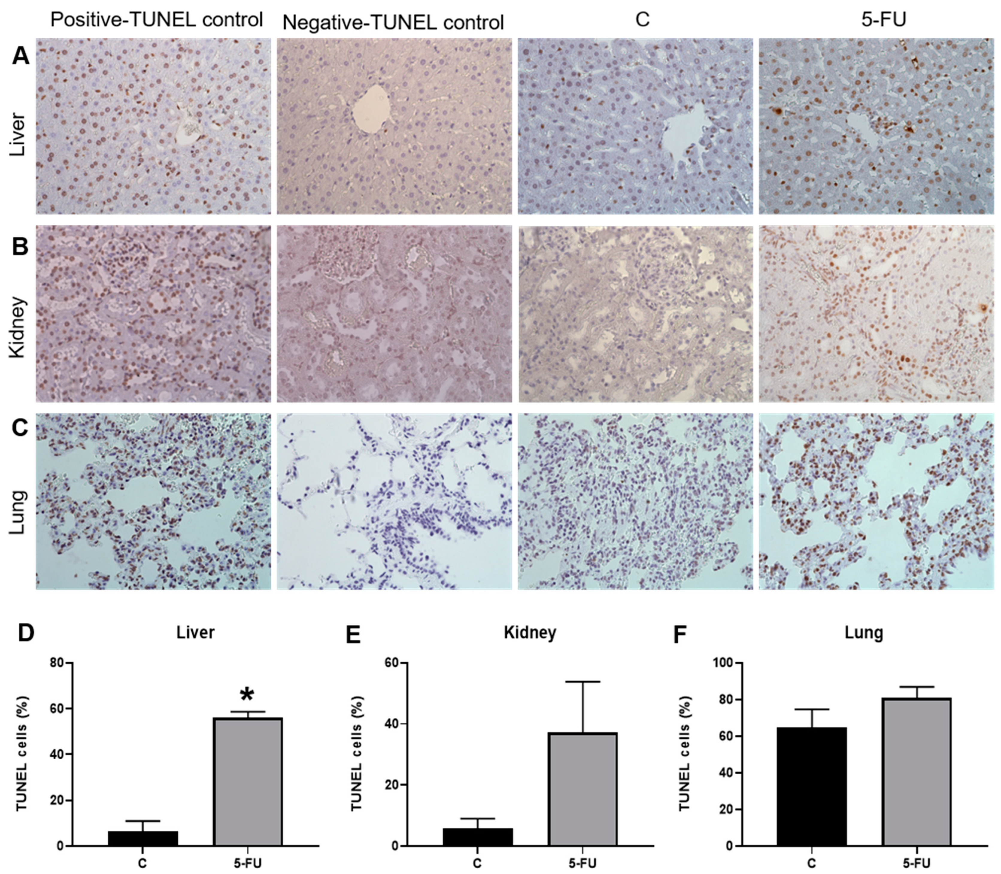 Antioxidants 12 01005 g006