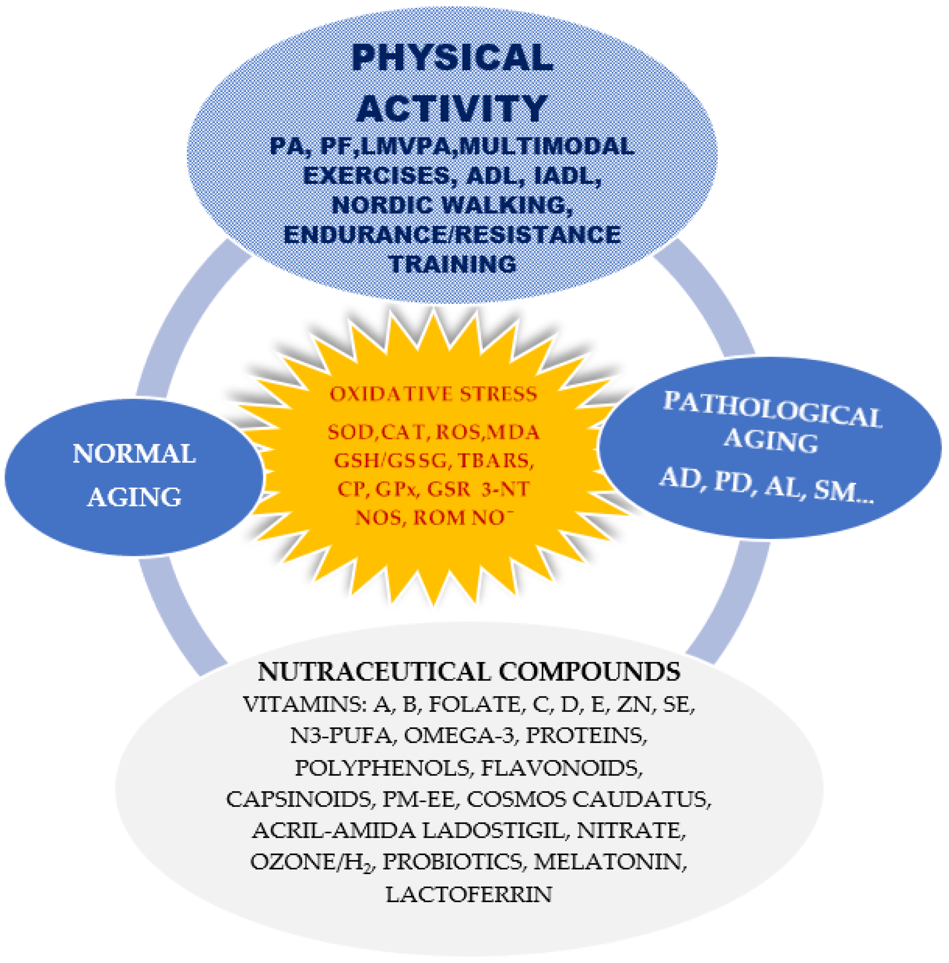 Antioxidants 12 01008 g001
