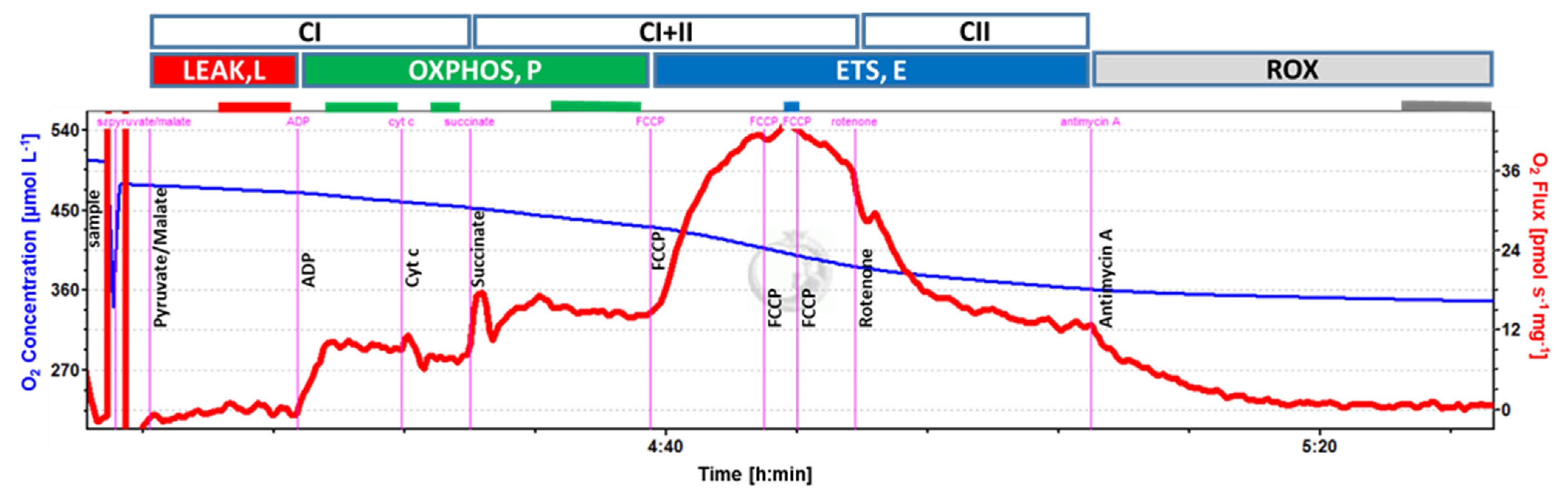 Antioxidants 12 01009 g001