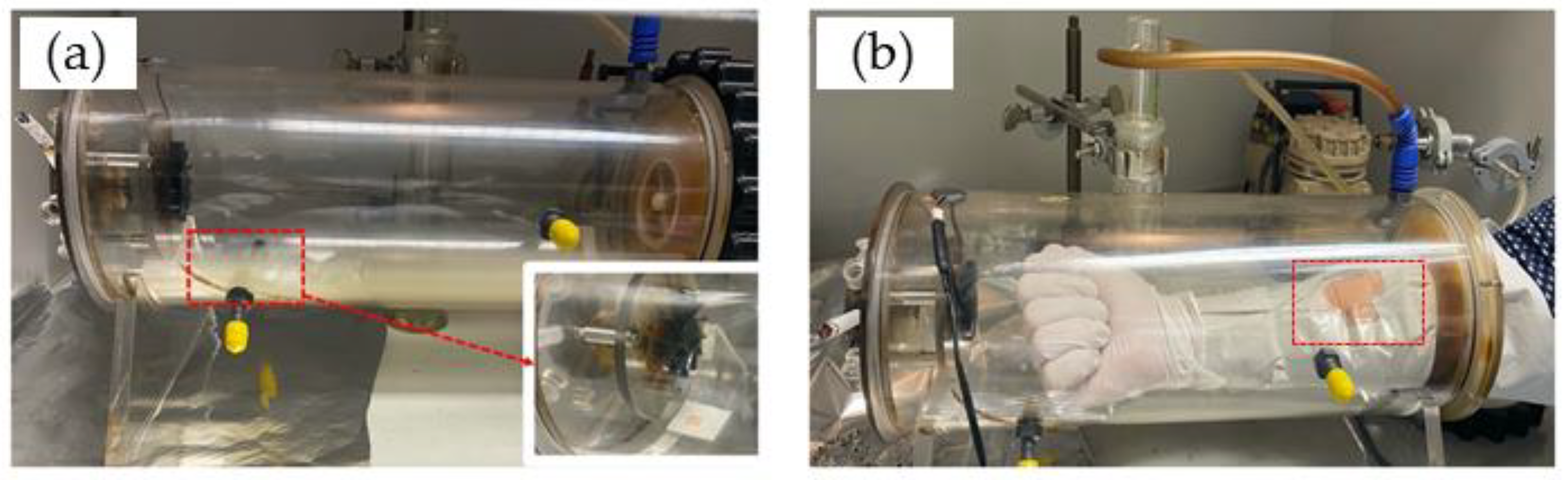 Antioxidants 12 01011 g001