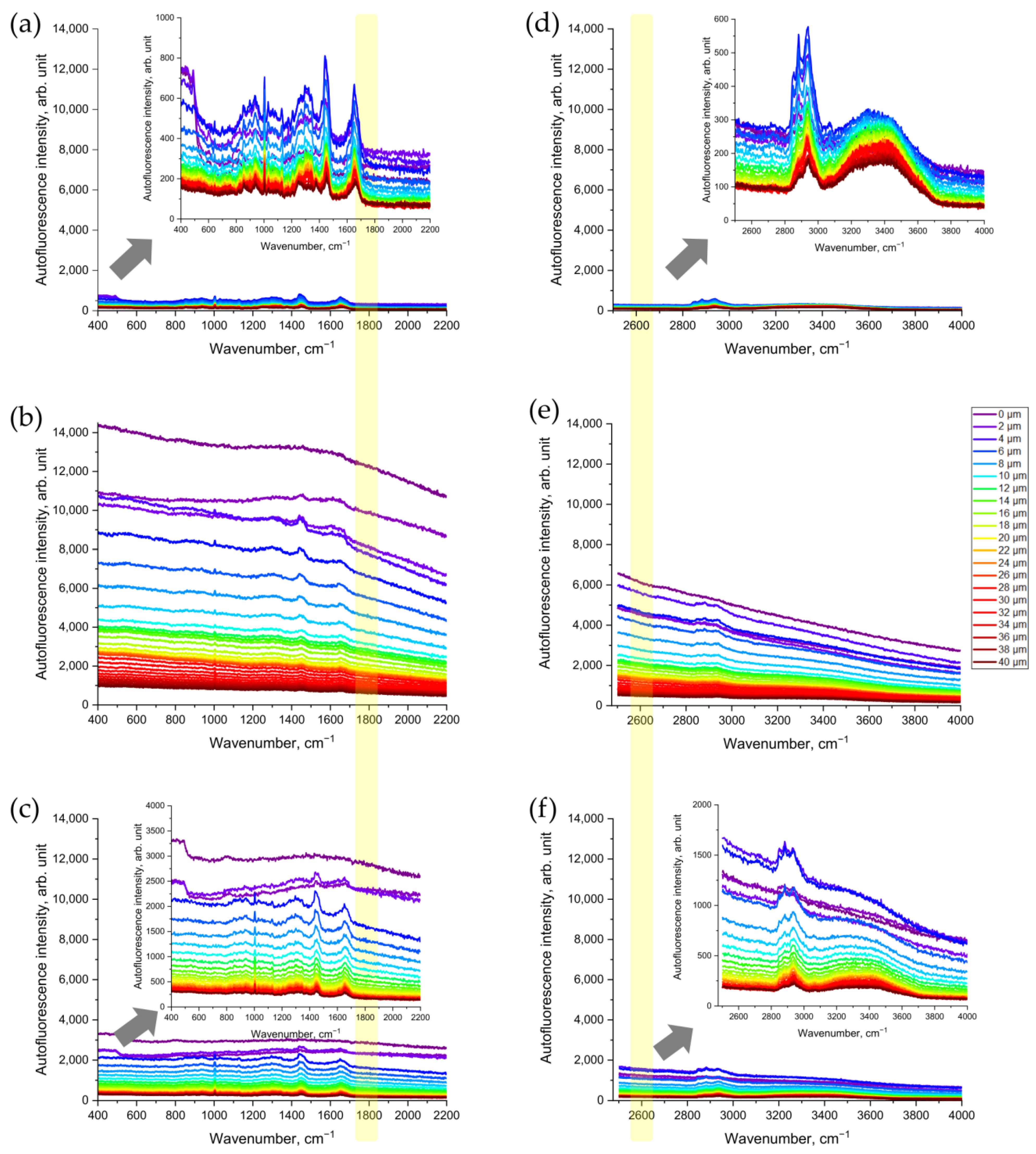 Antioxidants 12 01011 g002