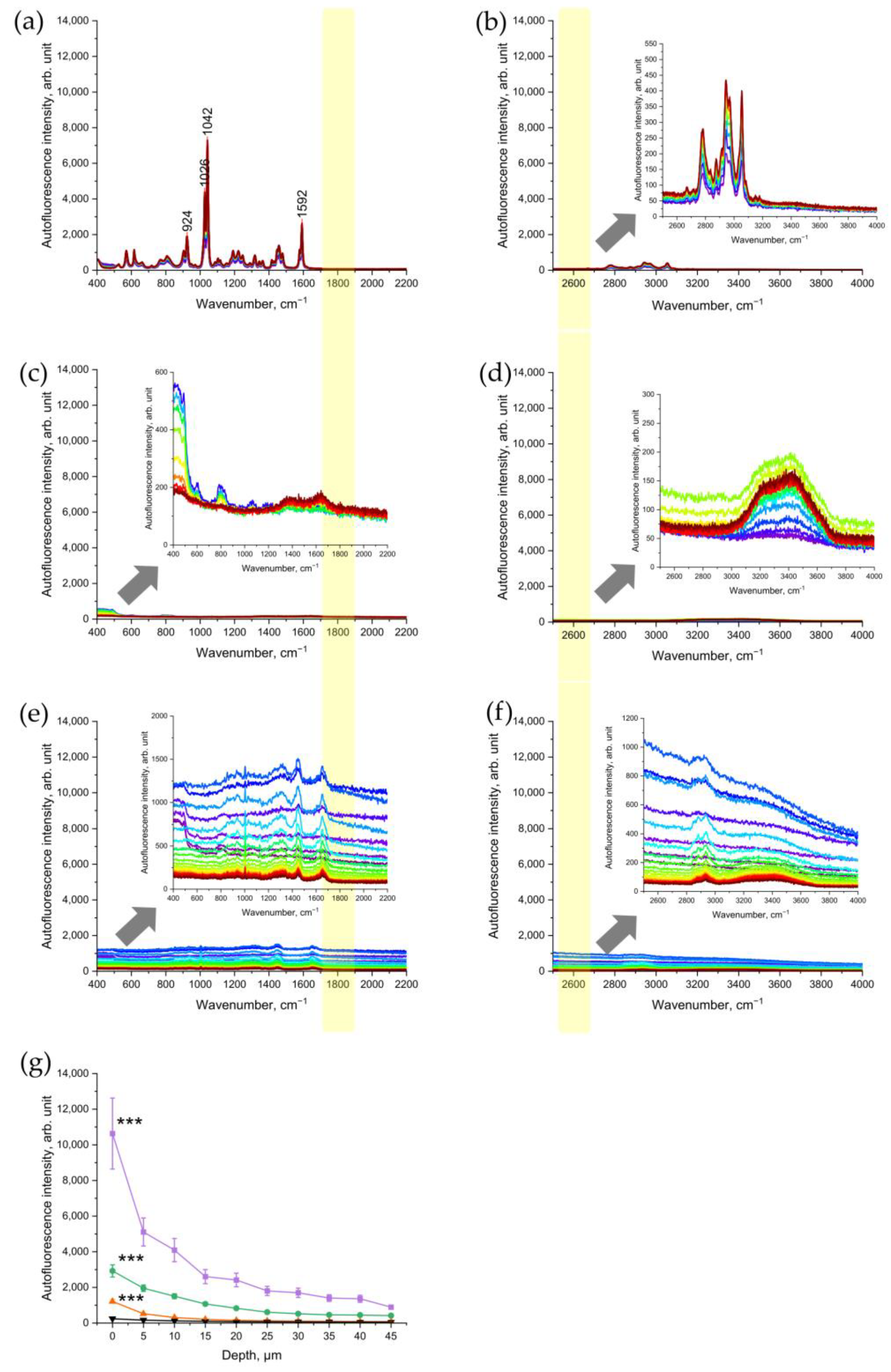 Antioxidants 12 01011 g004