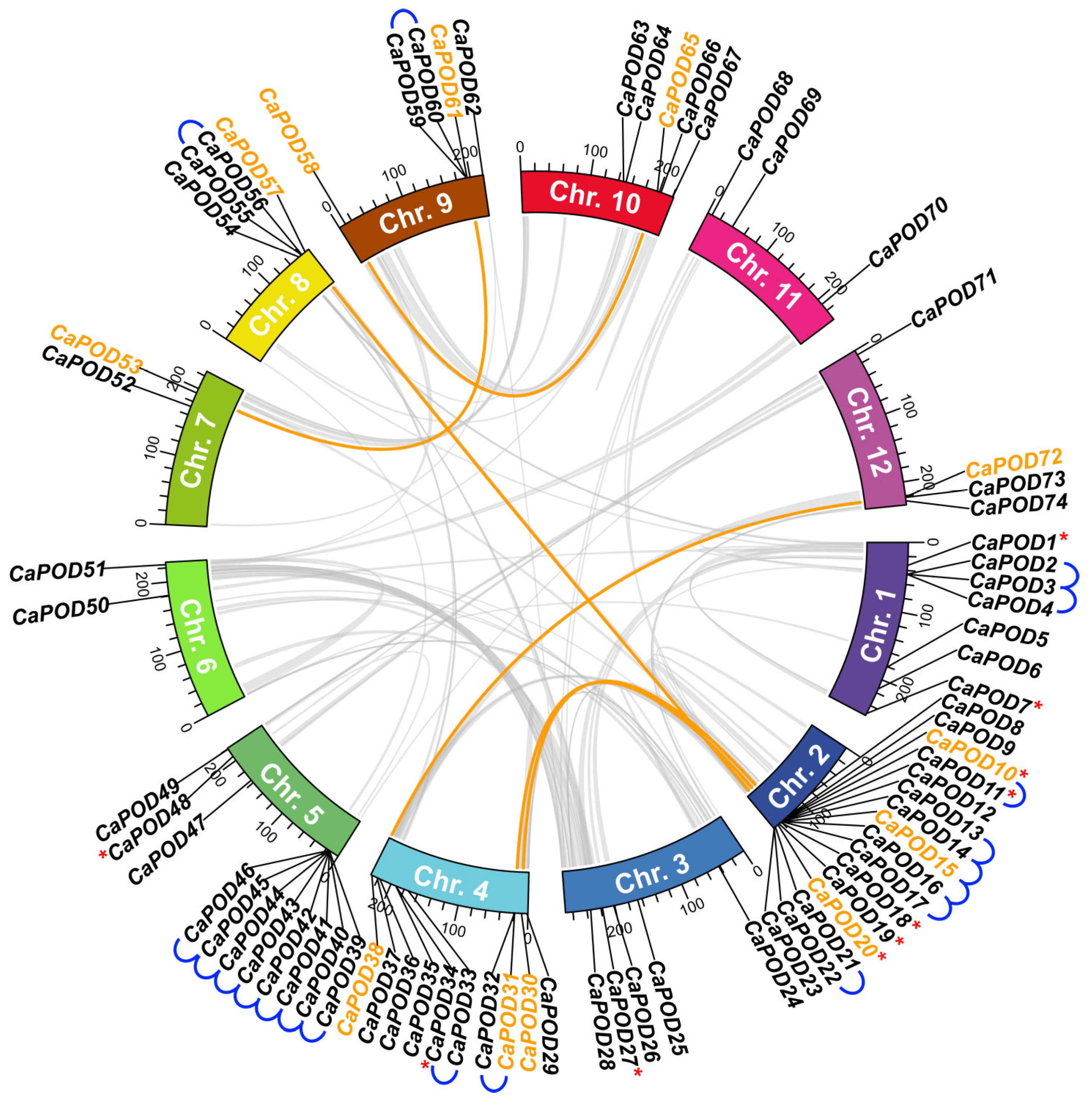Antioxidants 12 01013 g002