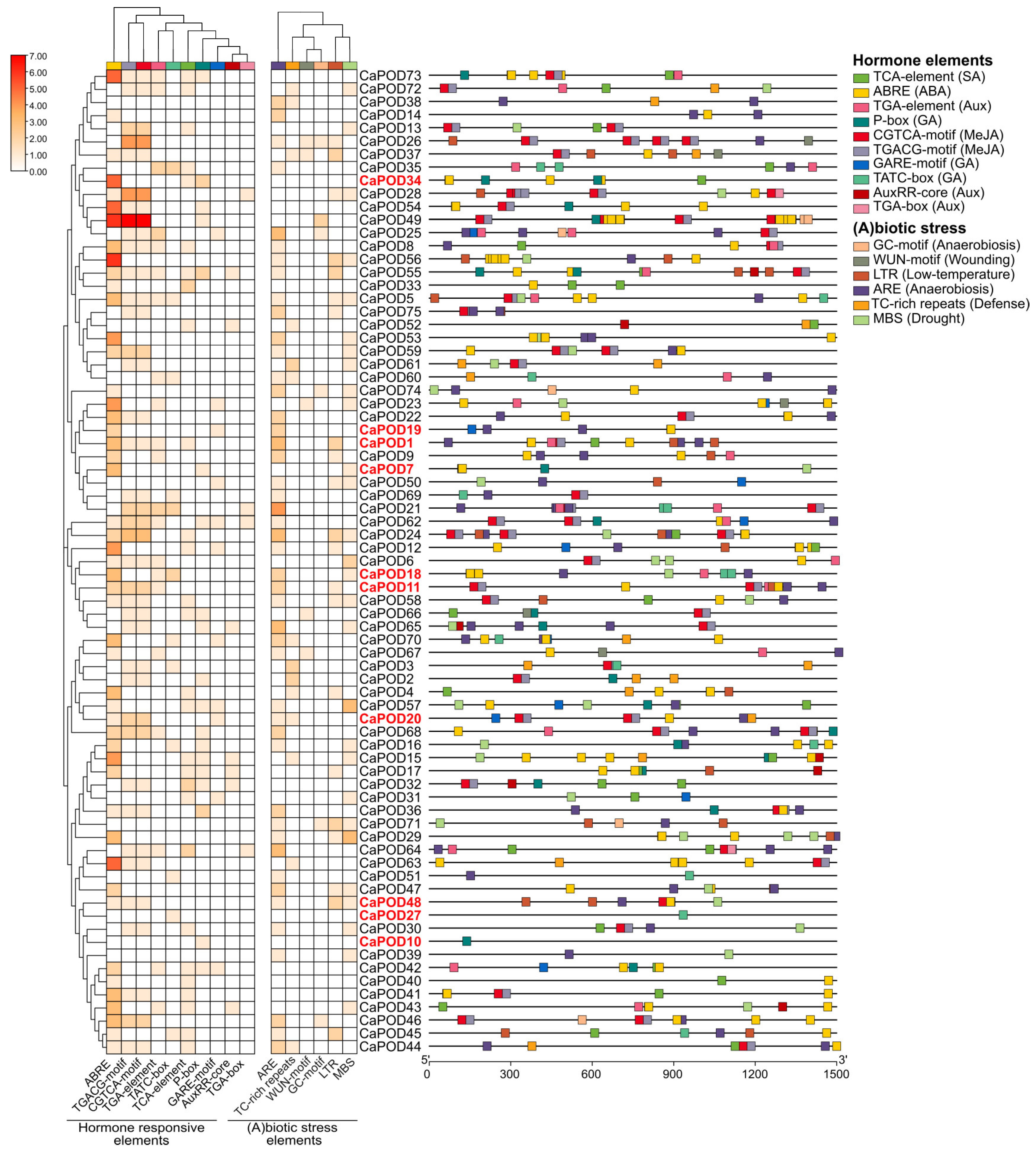 Antioxidants 12 01013 g003