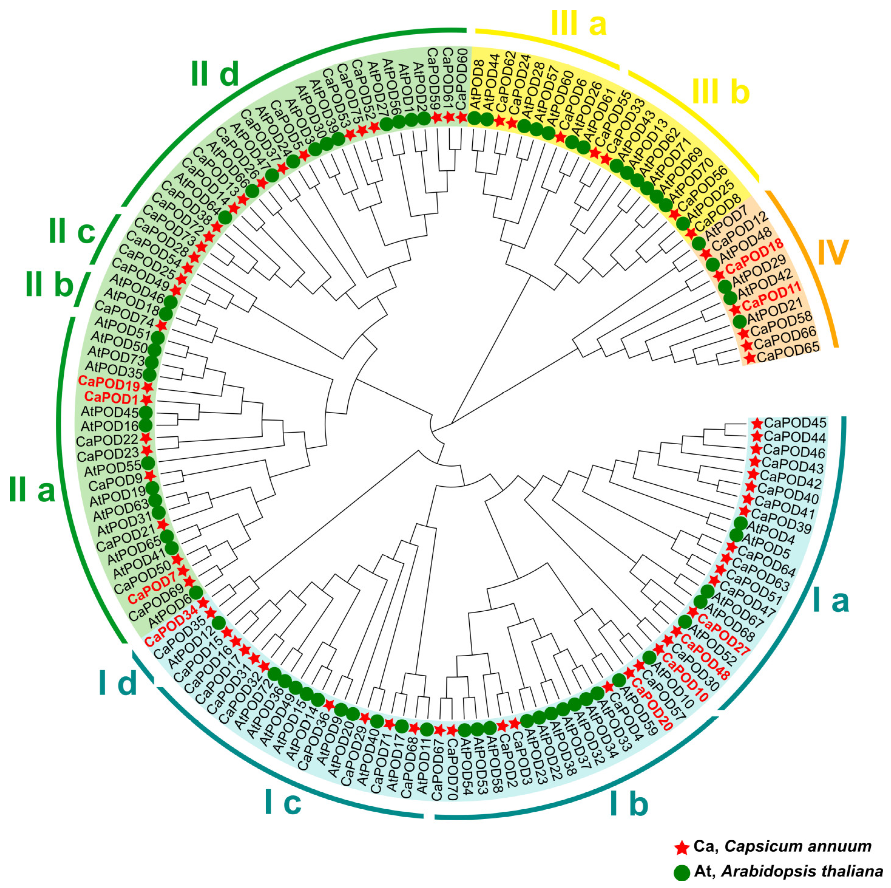 Antioxidants 12 01013 g004