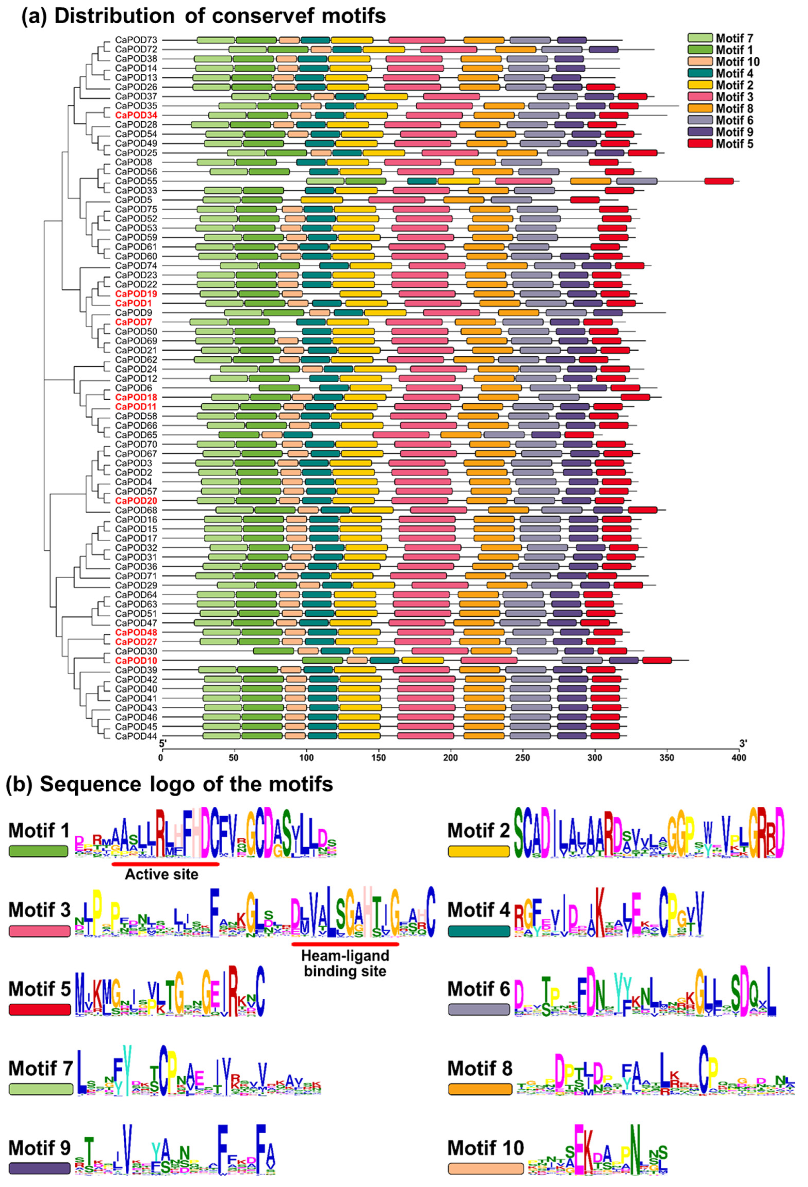 Antioxidants 12 01013 g005