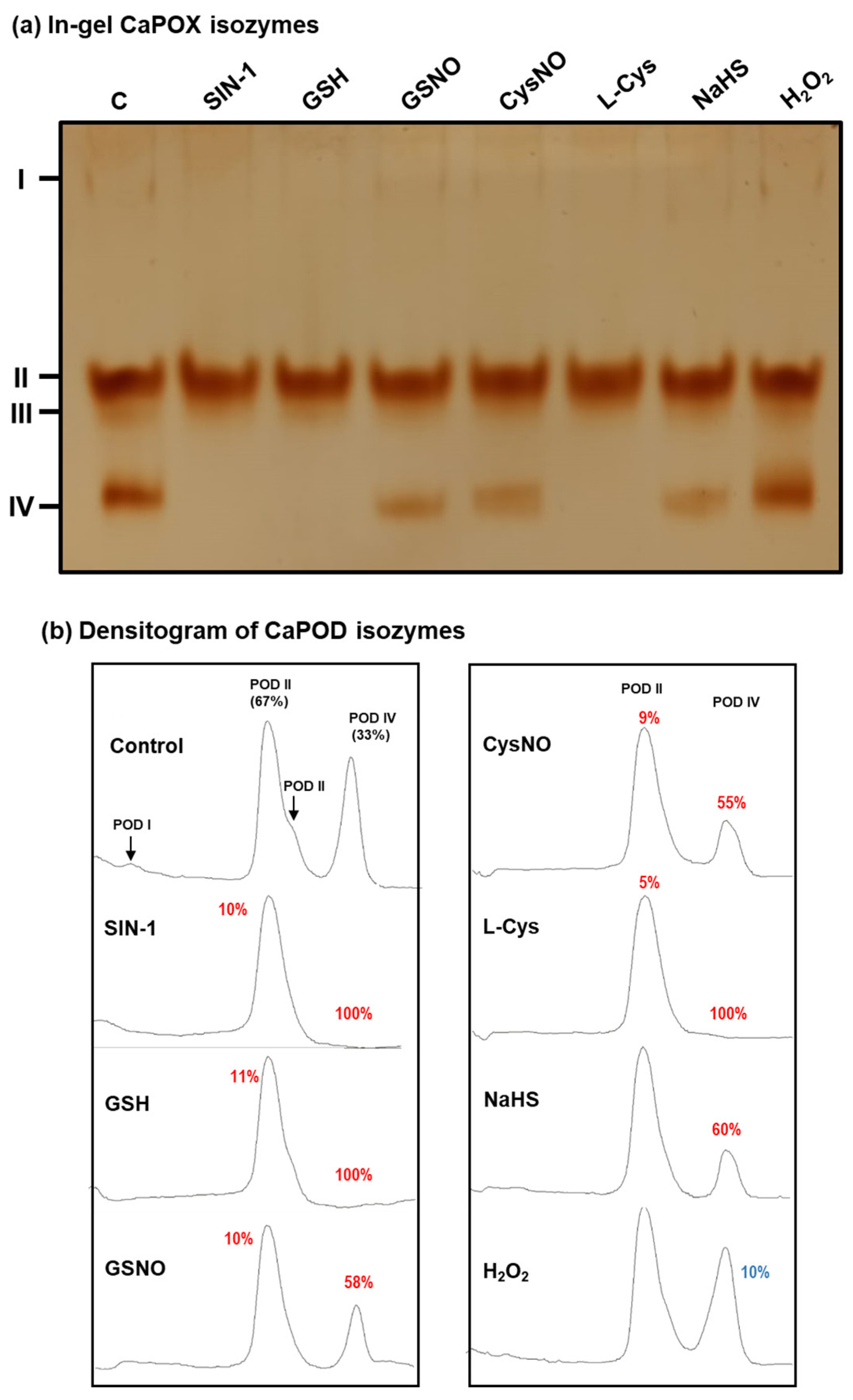 Antioxidants 12 01013 g008