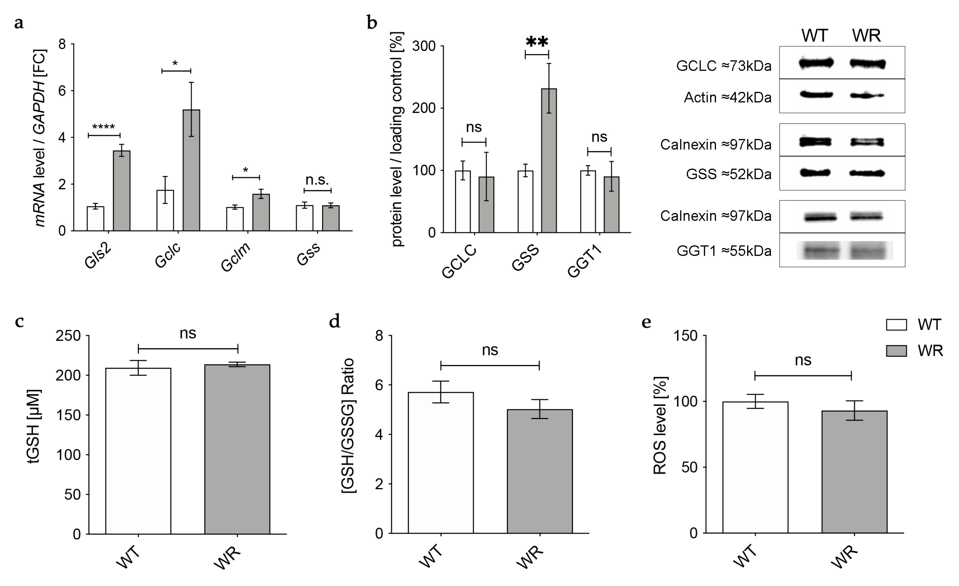Antioxidants 12 01014 g001