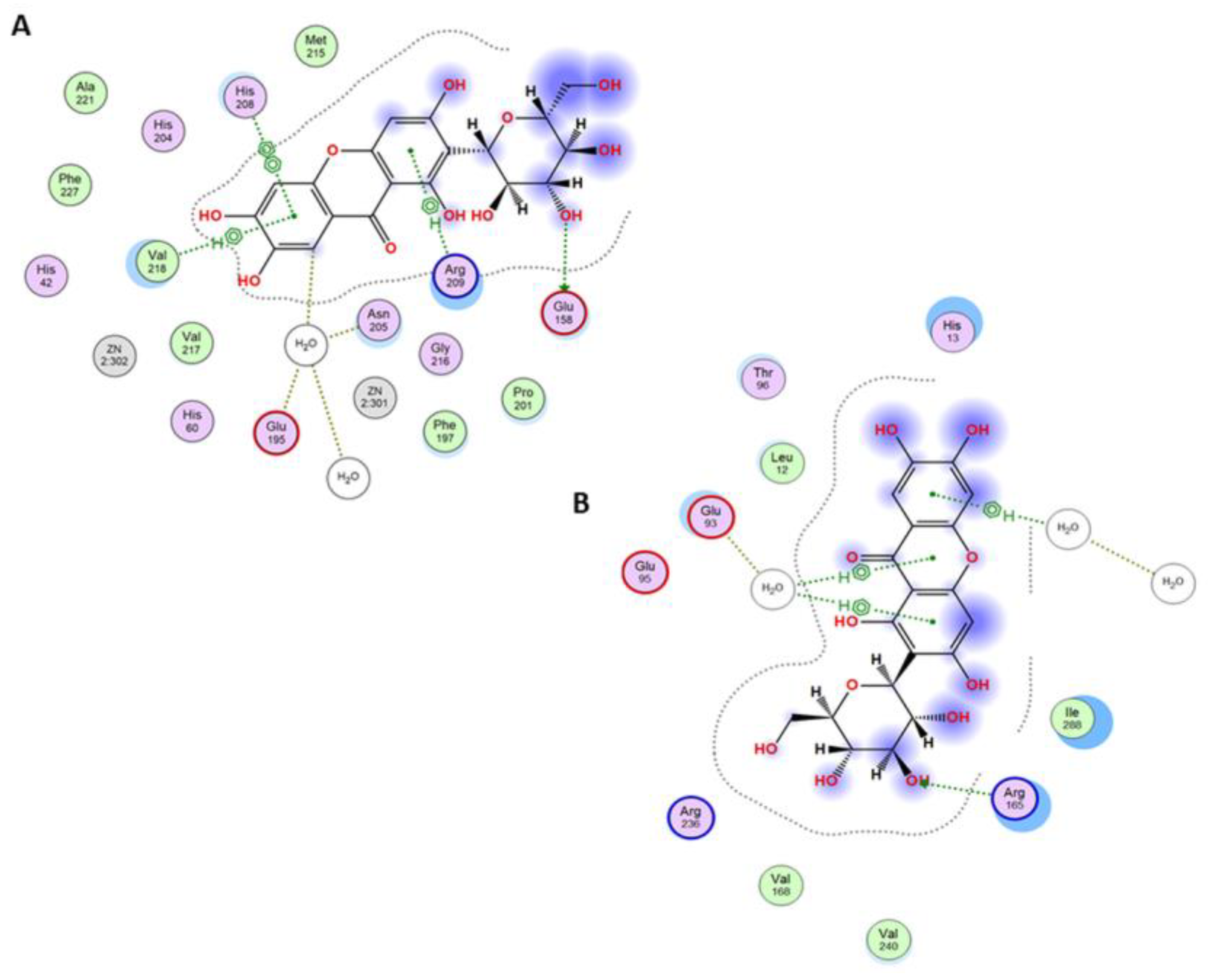 Antioxidants 12 01016 g008