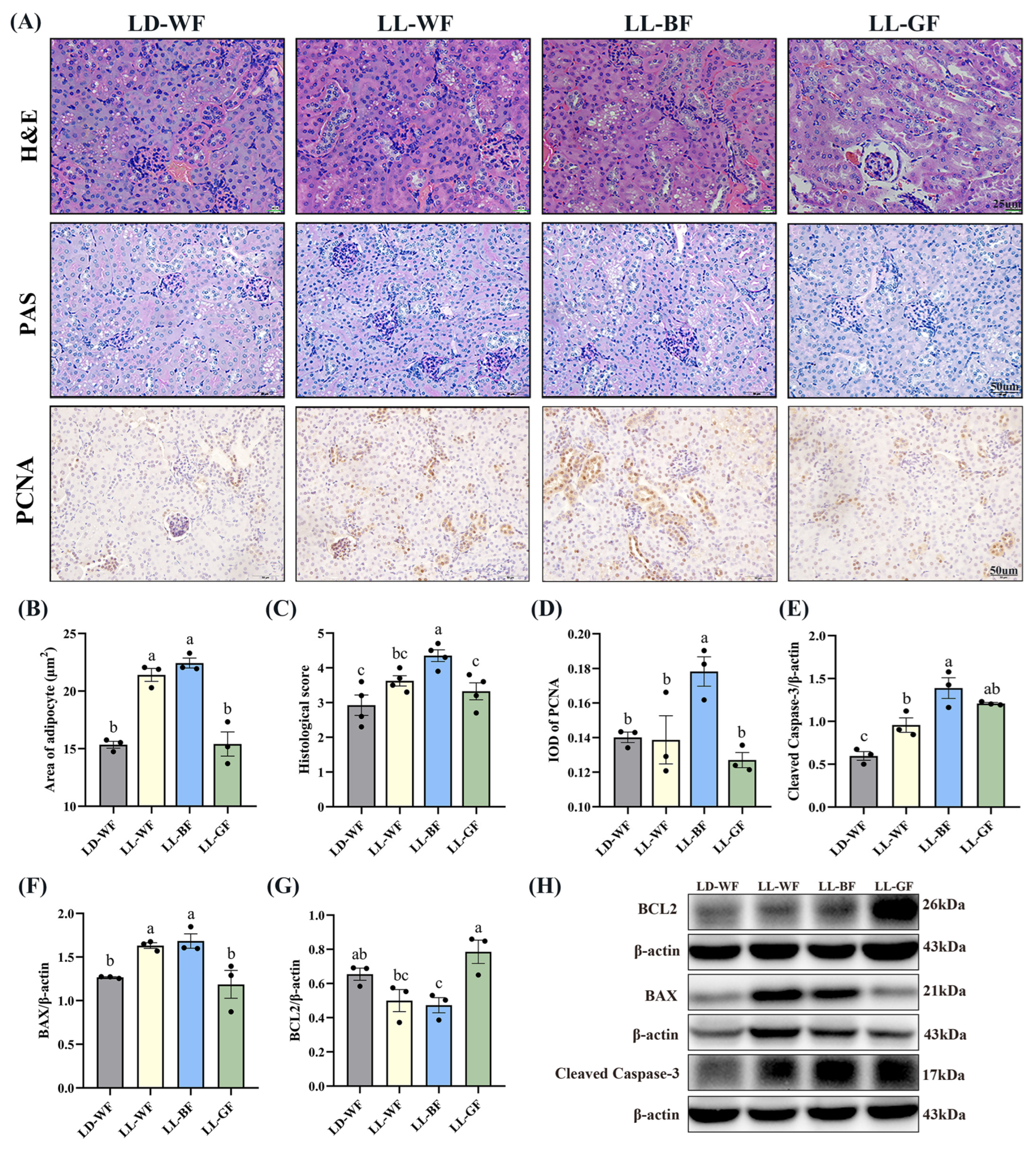 Antioxidants 12 01018 g002