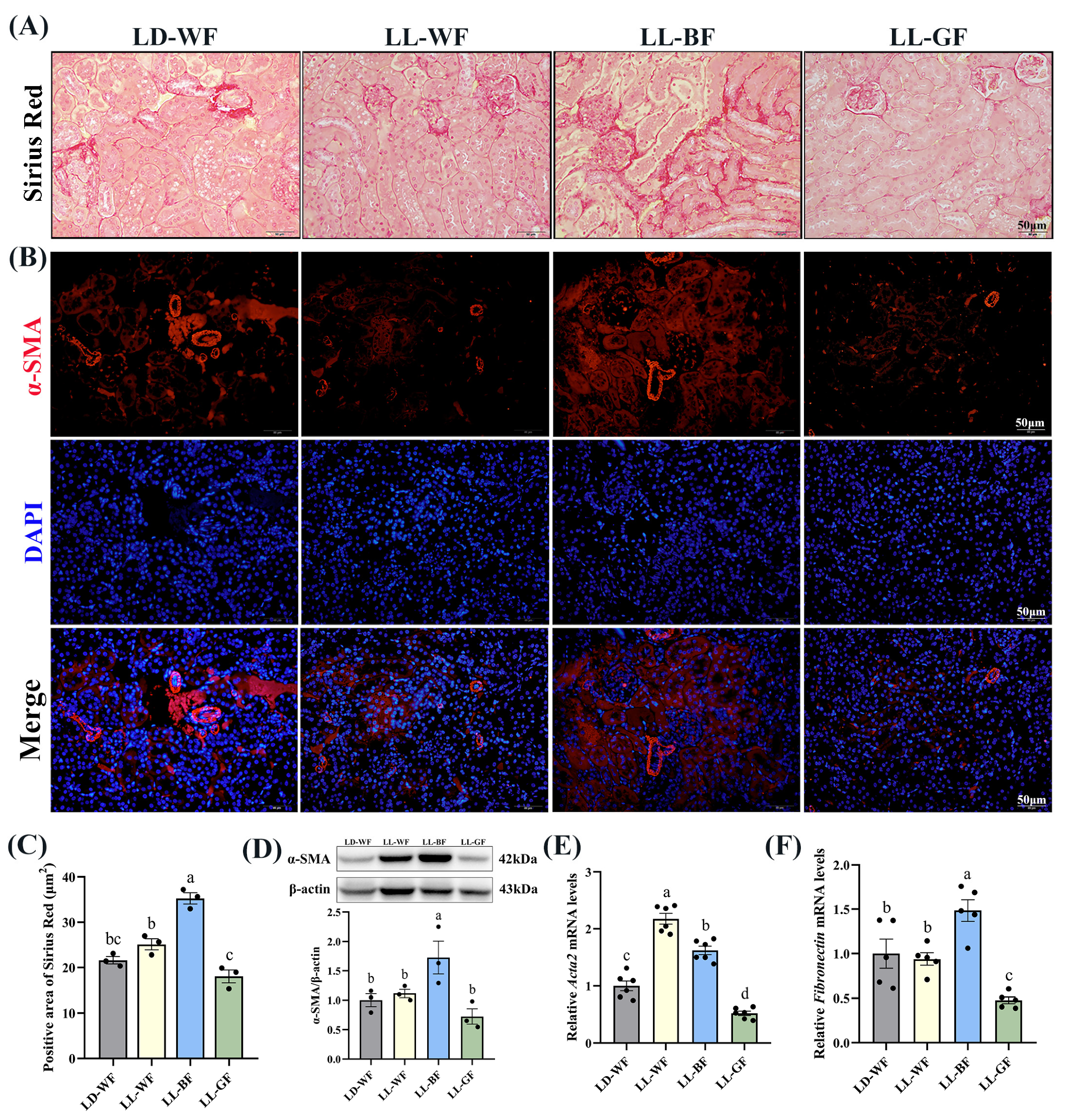 Antioxidants 12 01018 g003