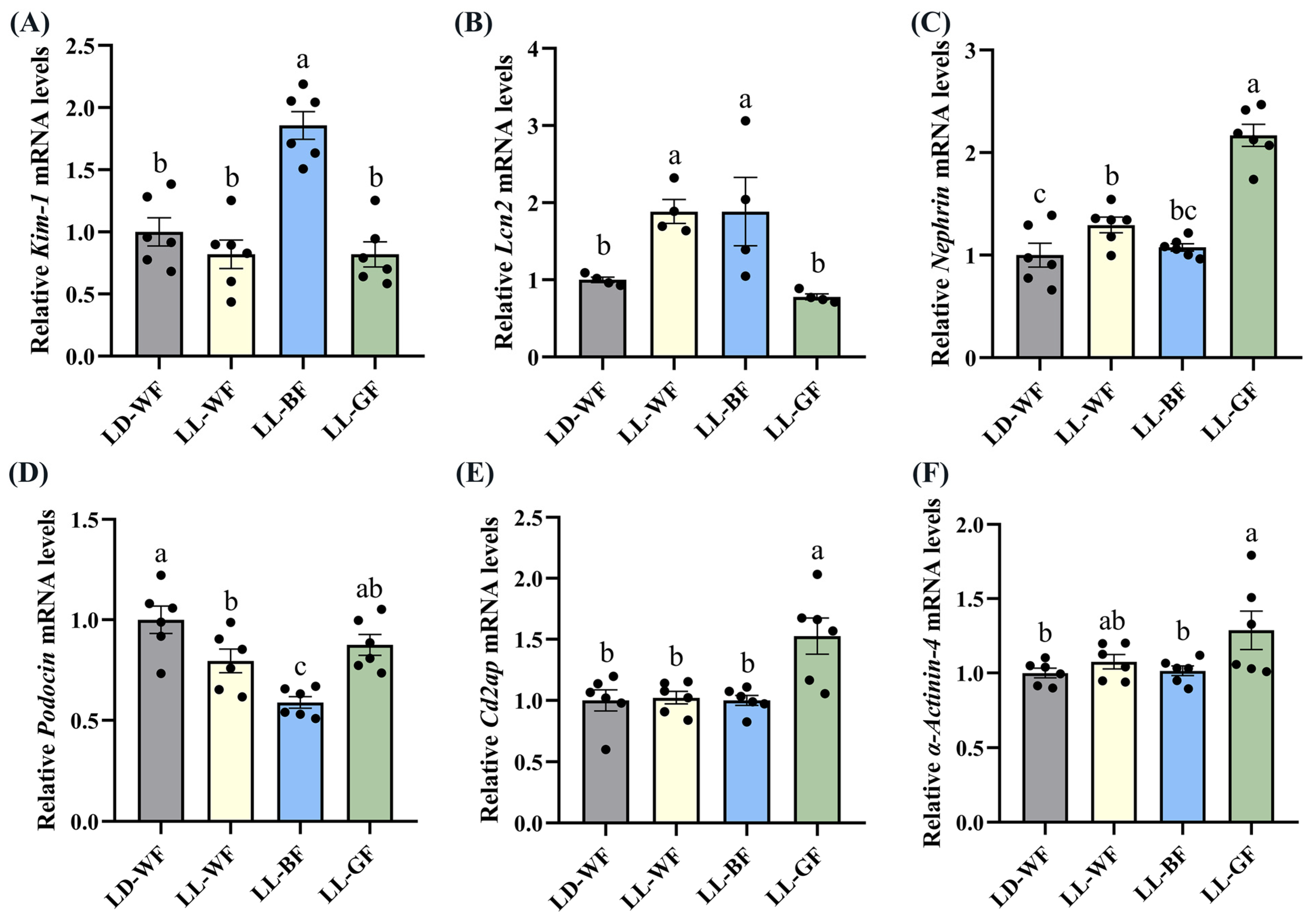 Antioxidants 12 01018 g004