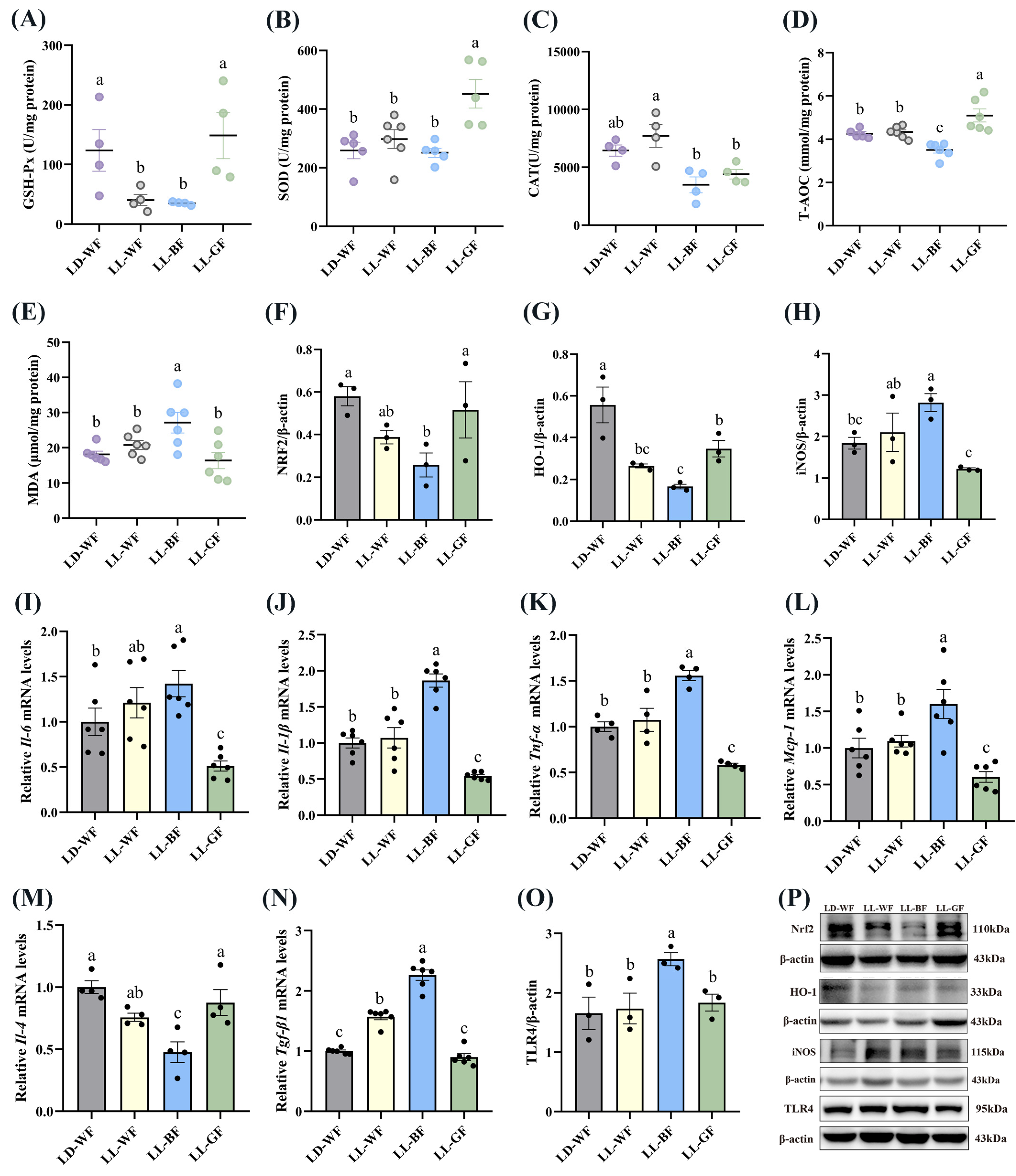 Antioxidants 12 01018 g005