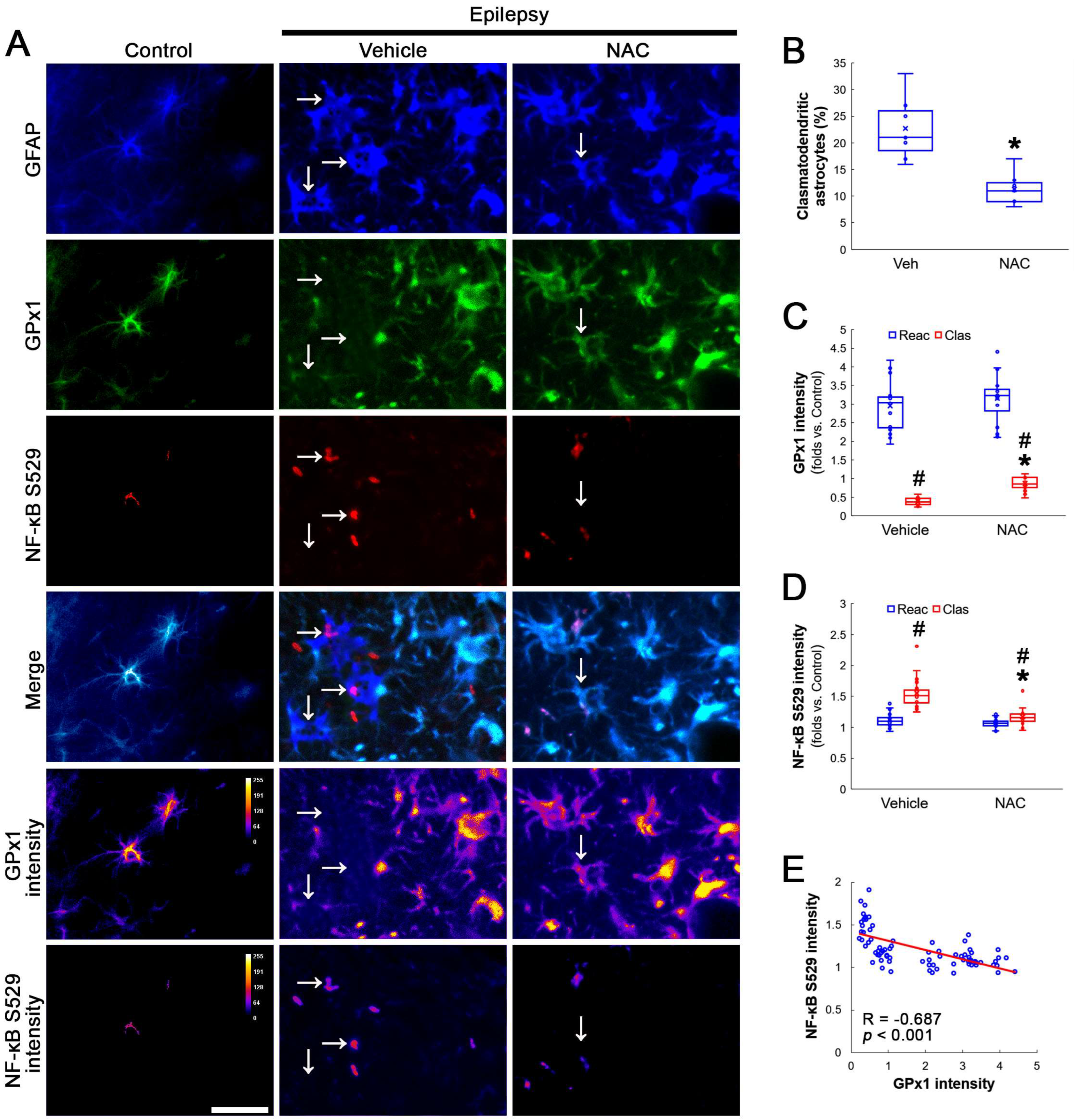 Antioxidants 12 01020 g001