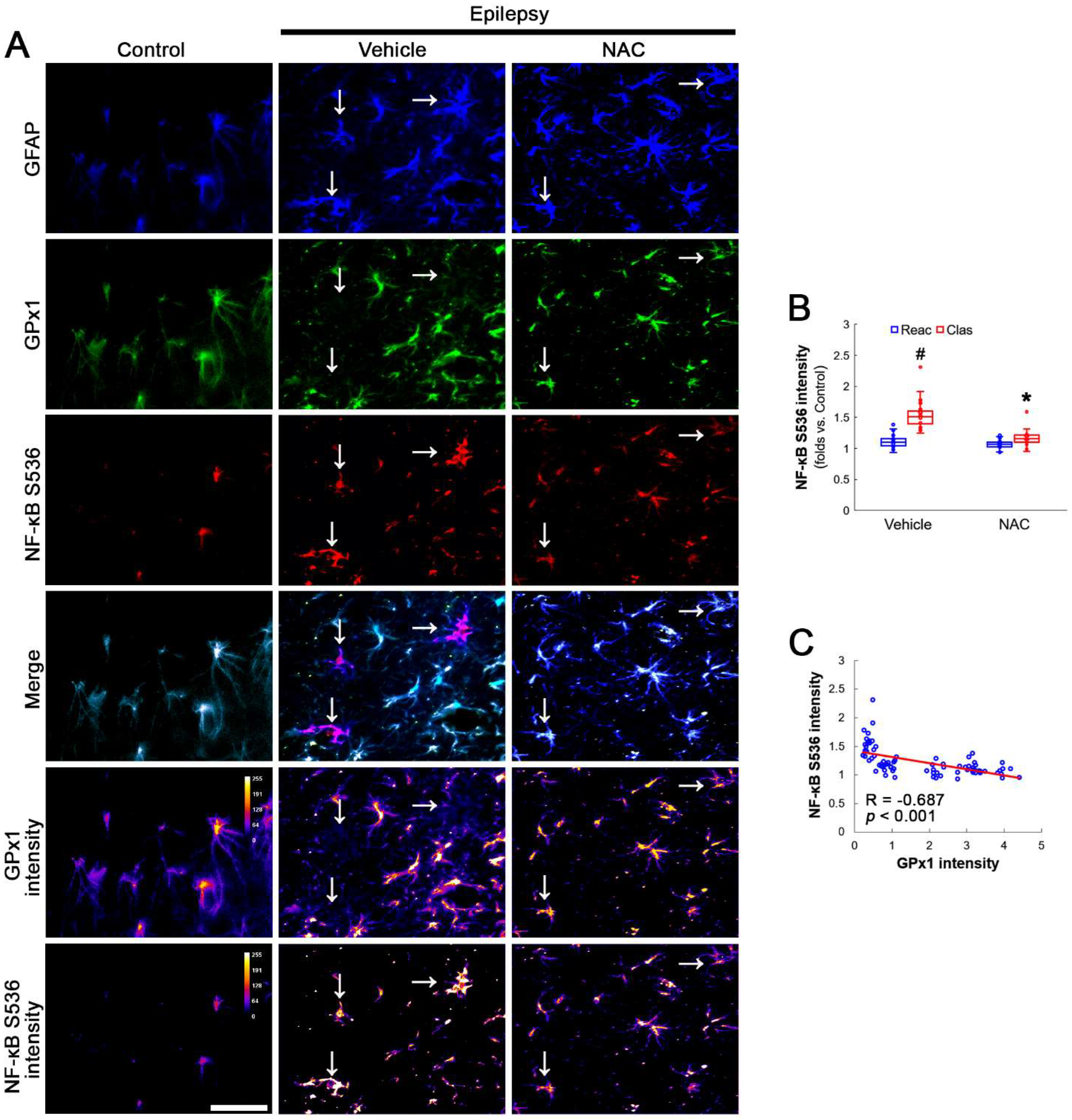 Antioxidants 12 01020 g004