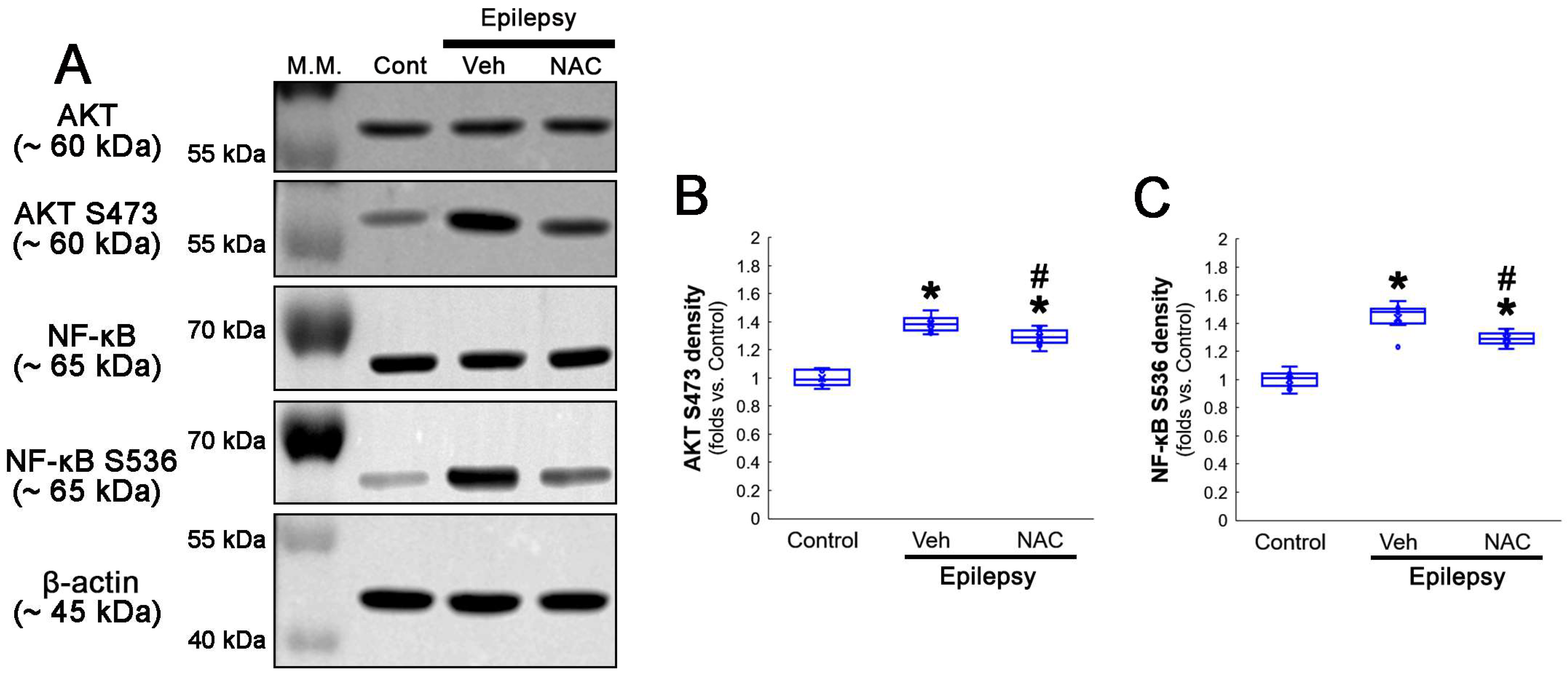 Antioxidants 12 01020 g005
