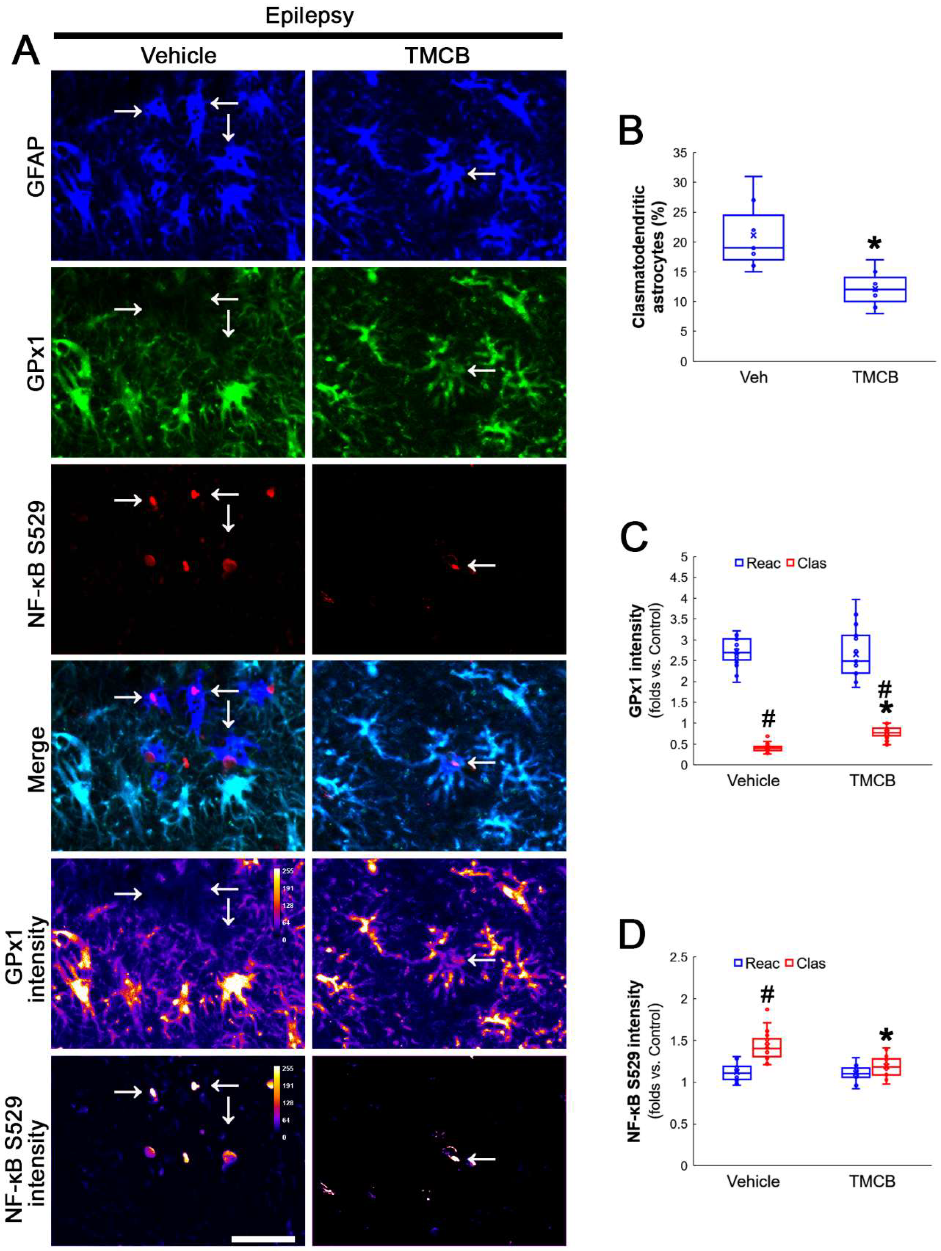 Antioxidants 12 01020 g006