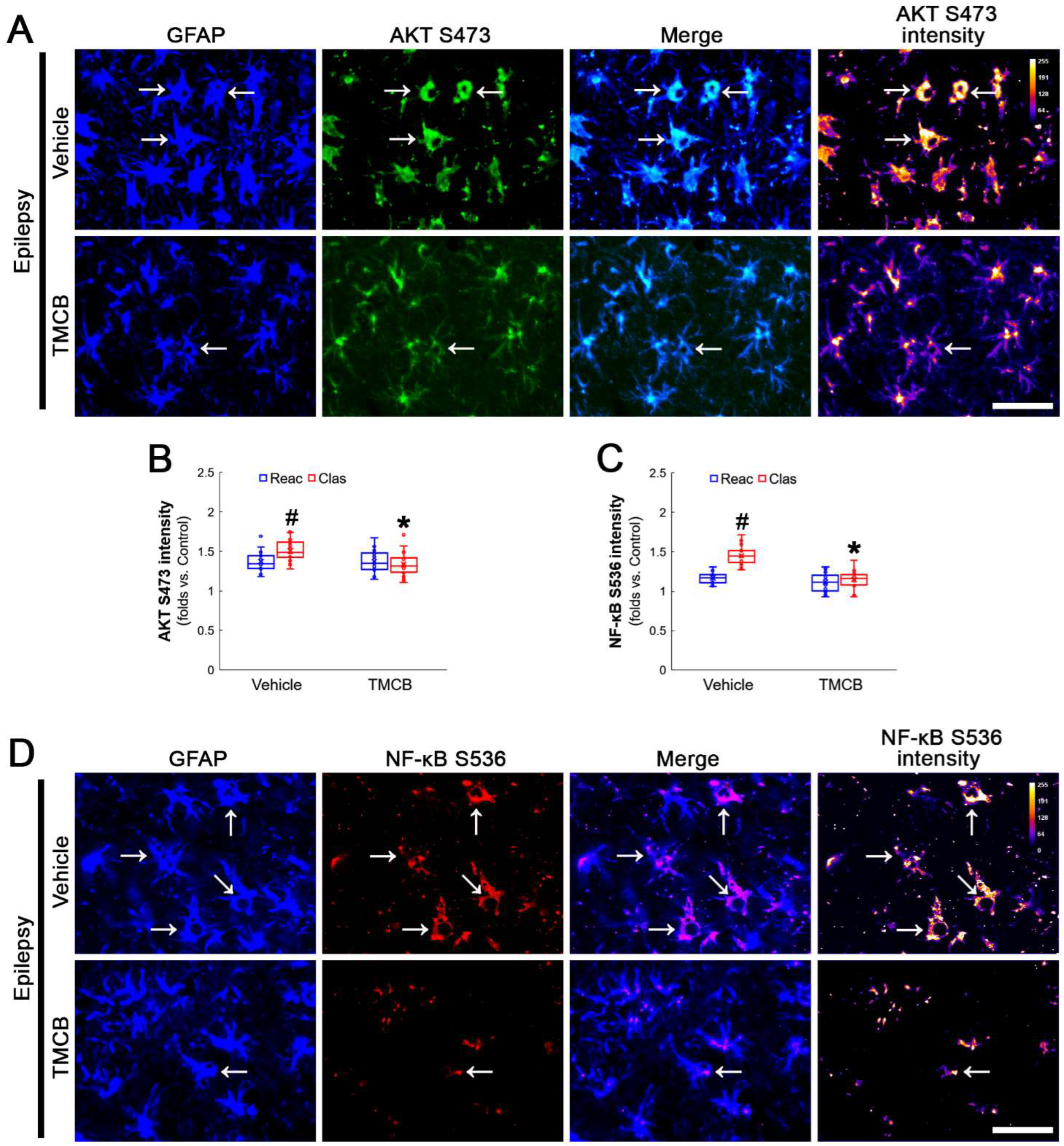 Antioxidants 12 01020 g007