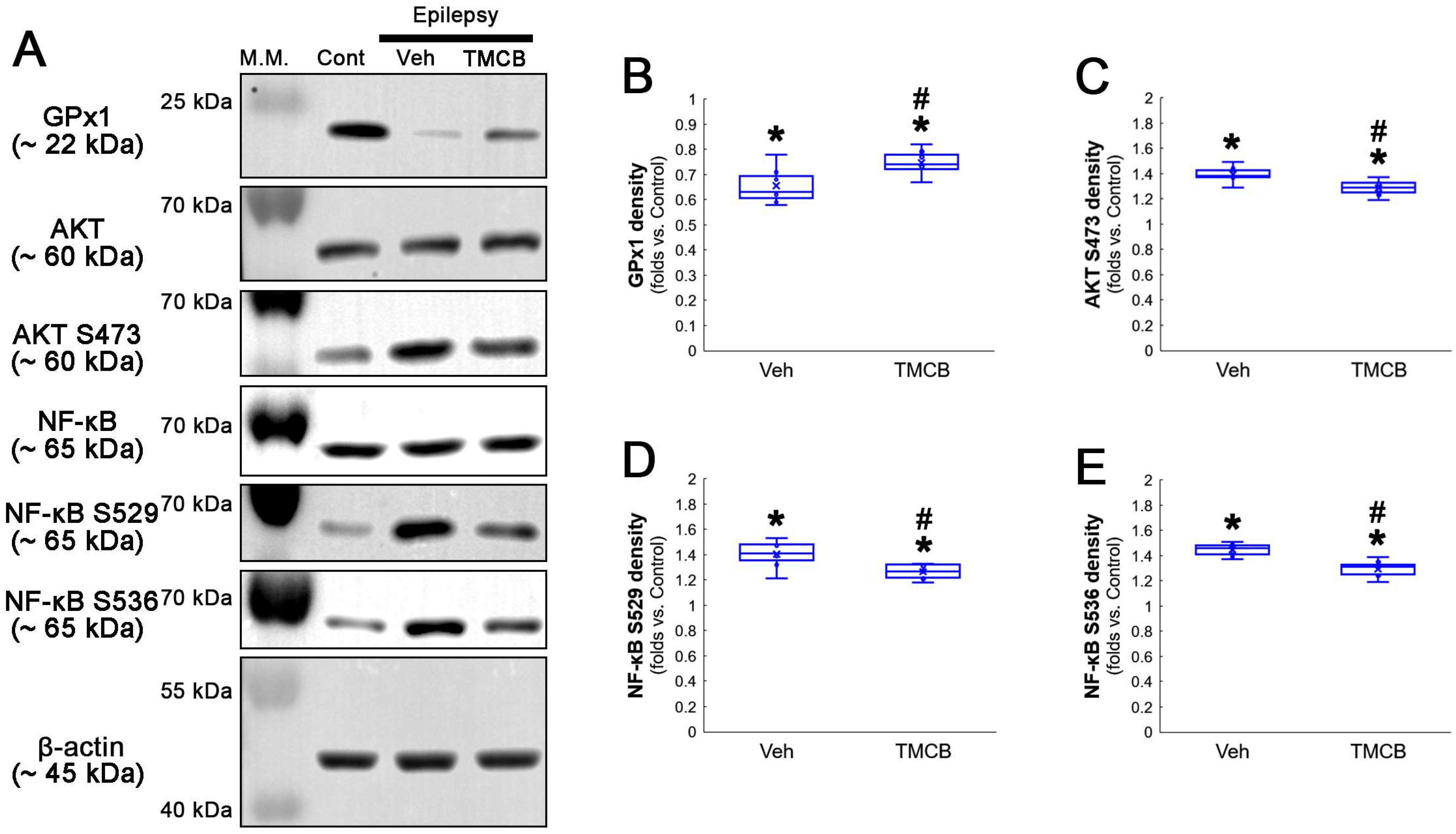 Antioxidants 12 01020 g008