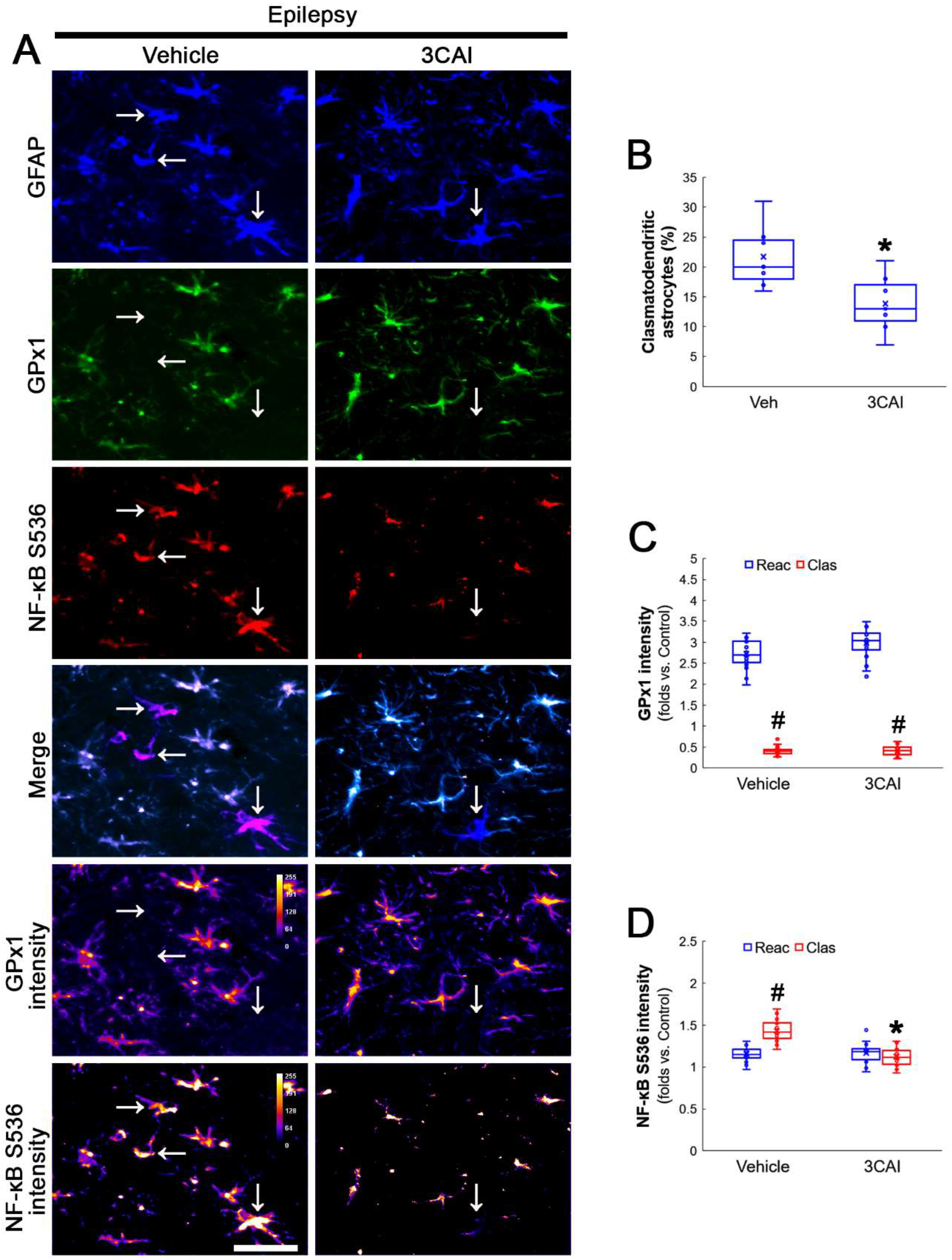 Antioxidants 12 01020 g009