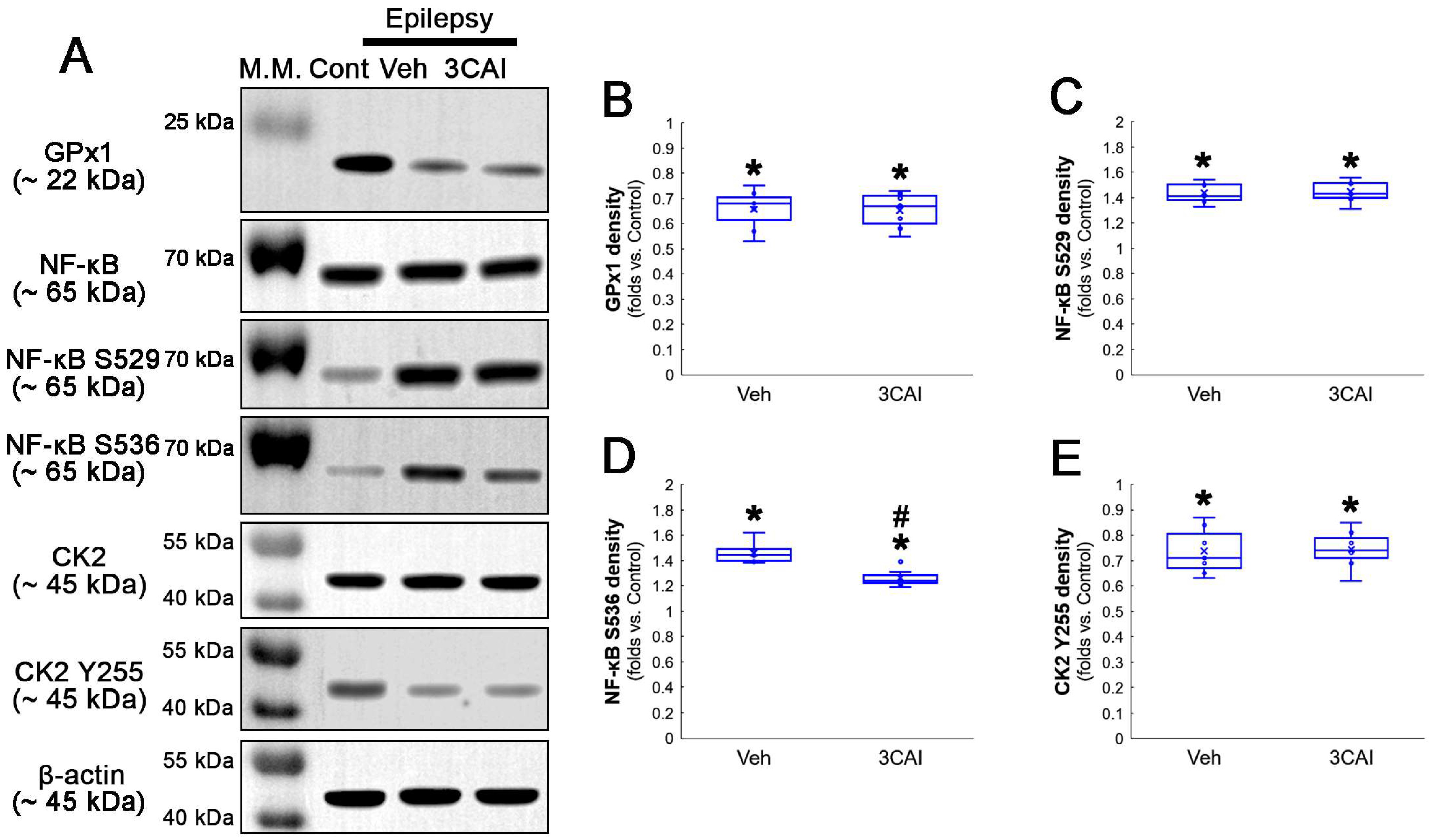 Antioxidants 12 01020 g011