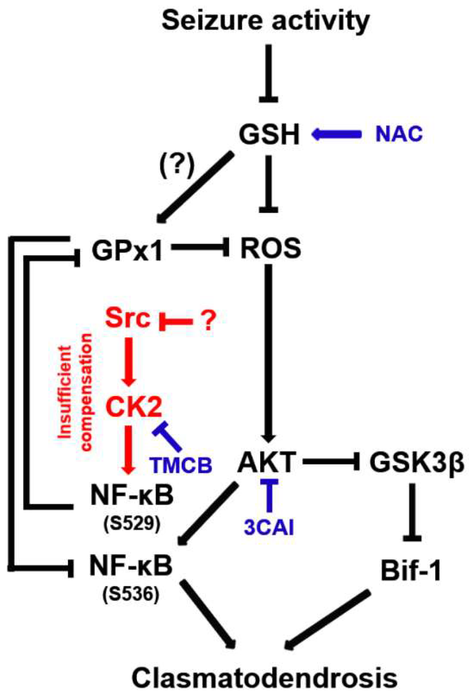 Antioxidants 12 01020 g012