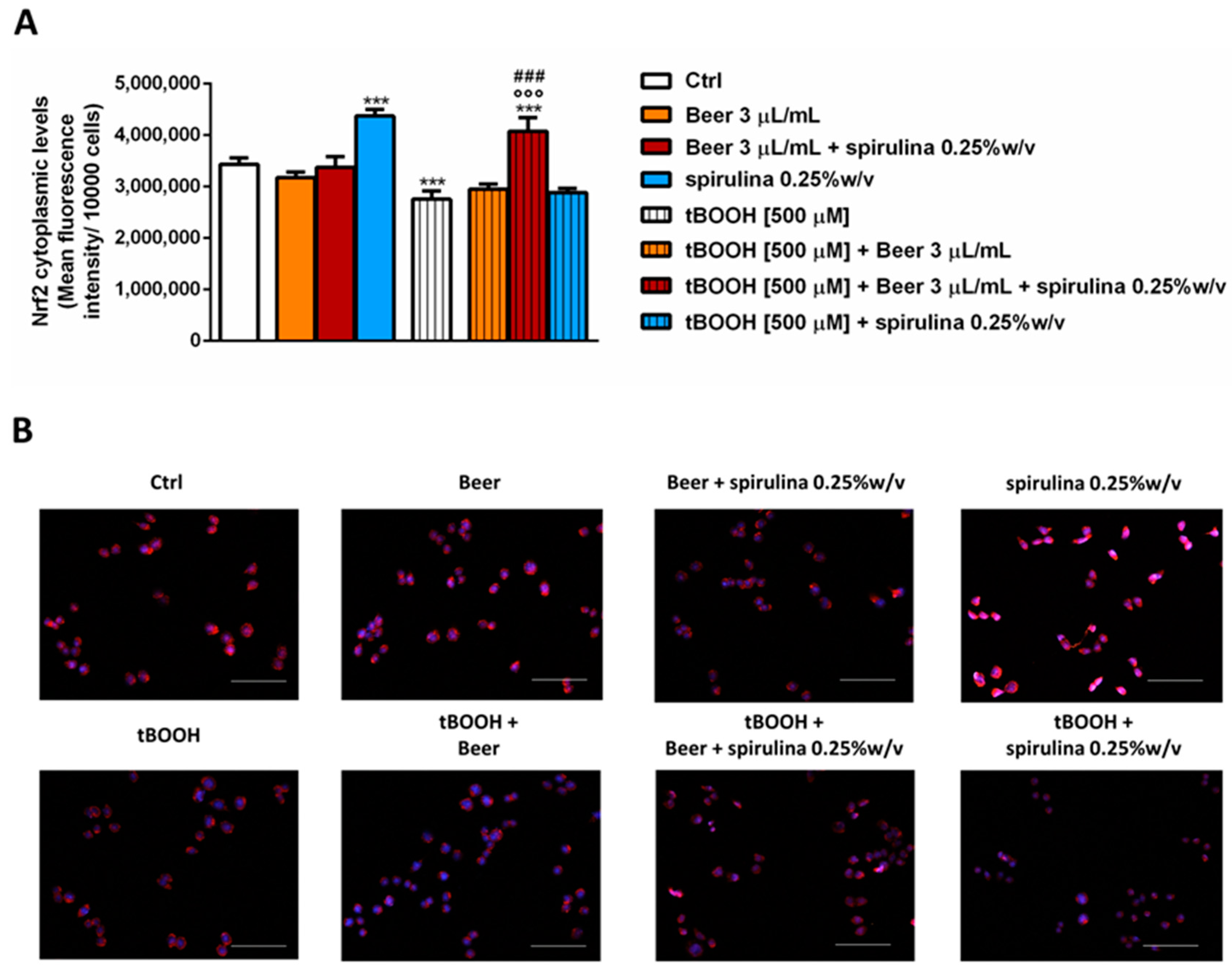 Antioxidants 12 01021 g007